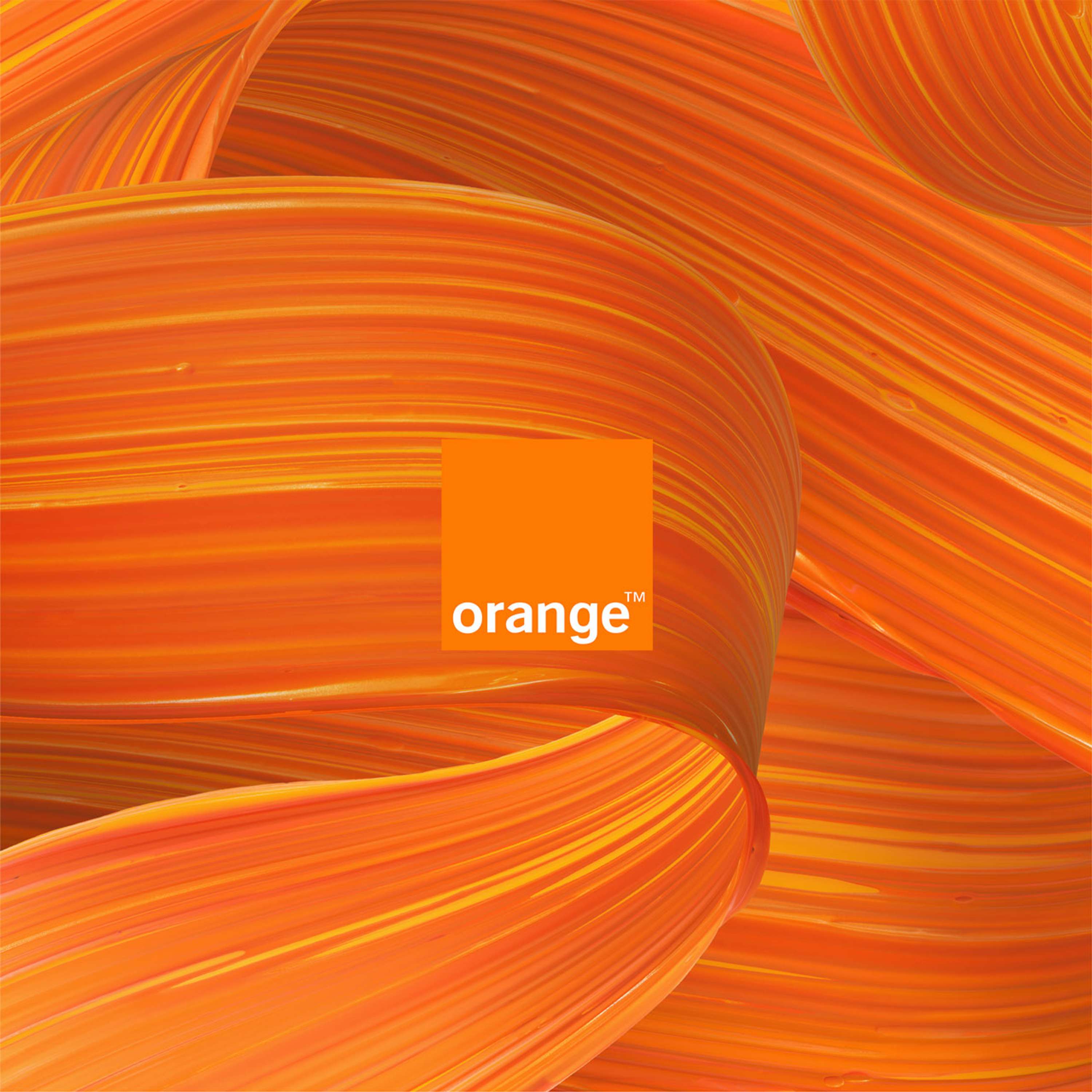 Orange Flex by Pawel Nolbert