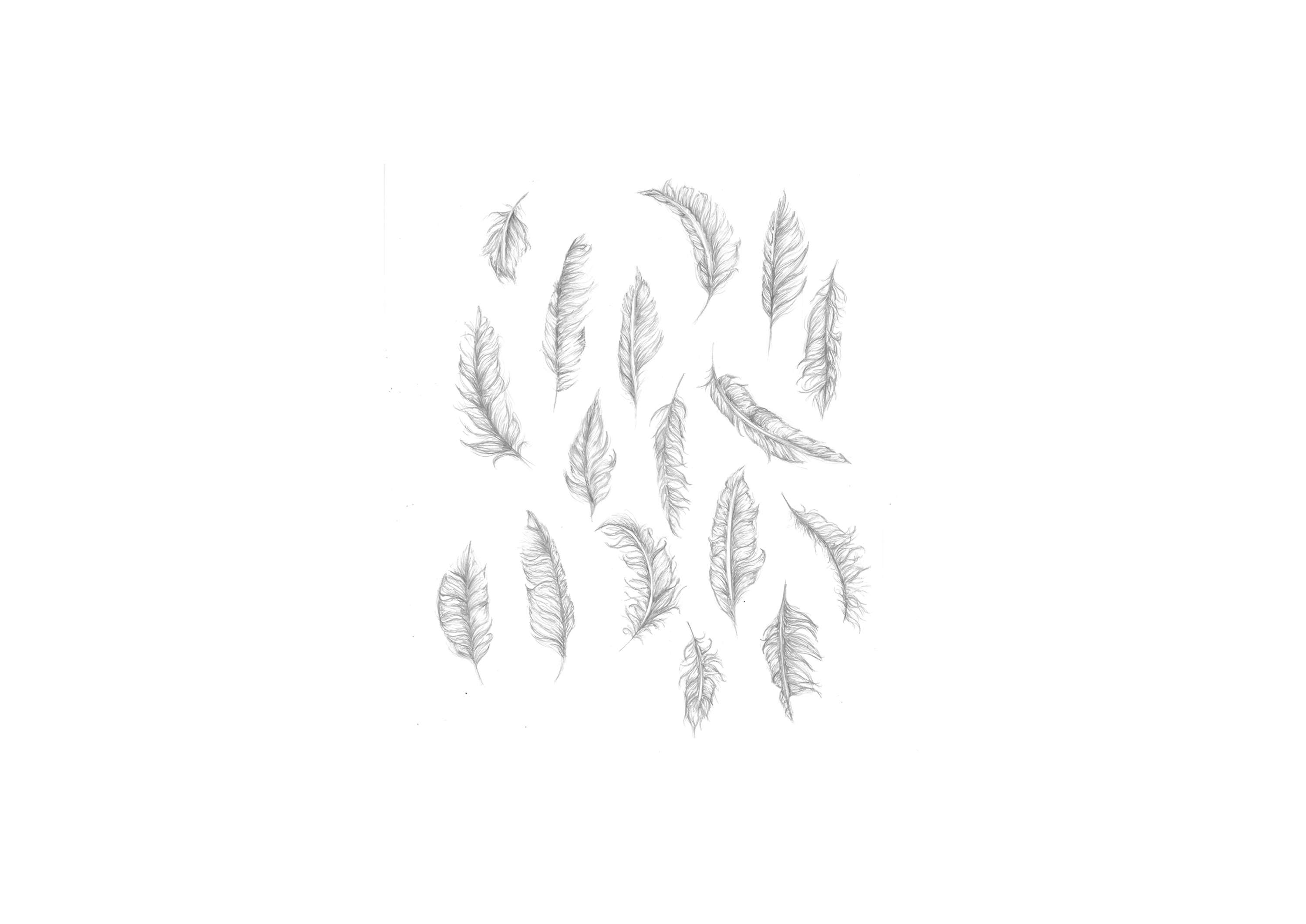 Apolyfeather Typeface by Georgina Webb
