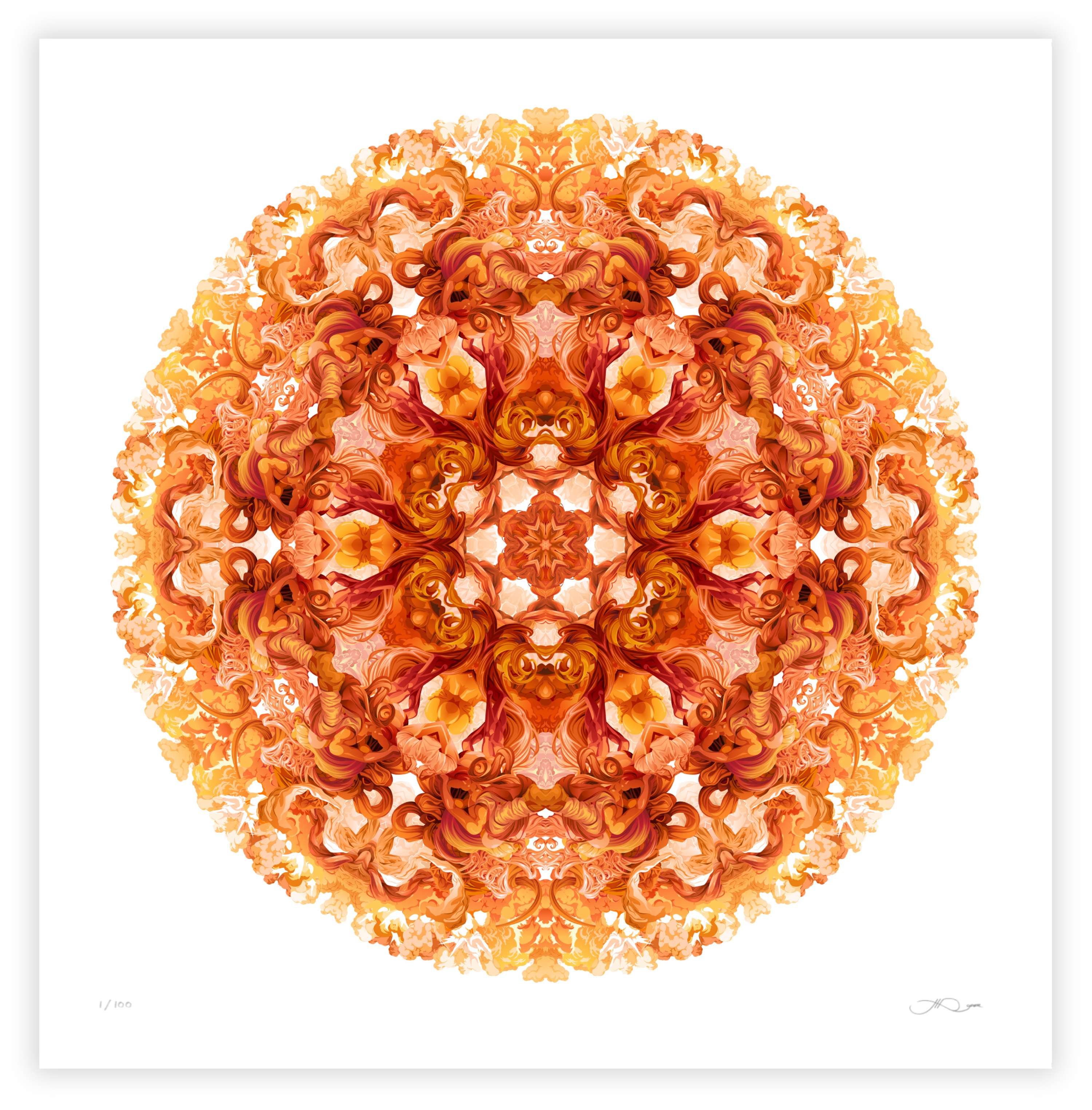Chakra series by James Roper