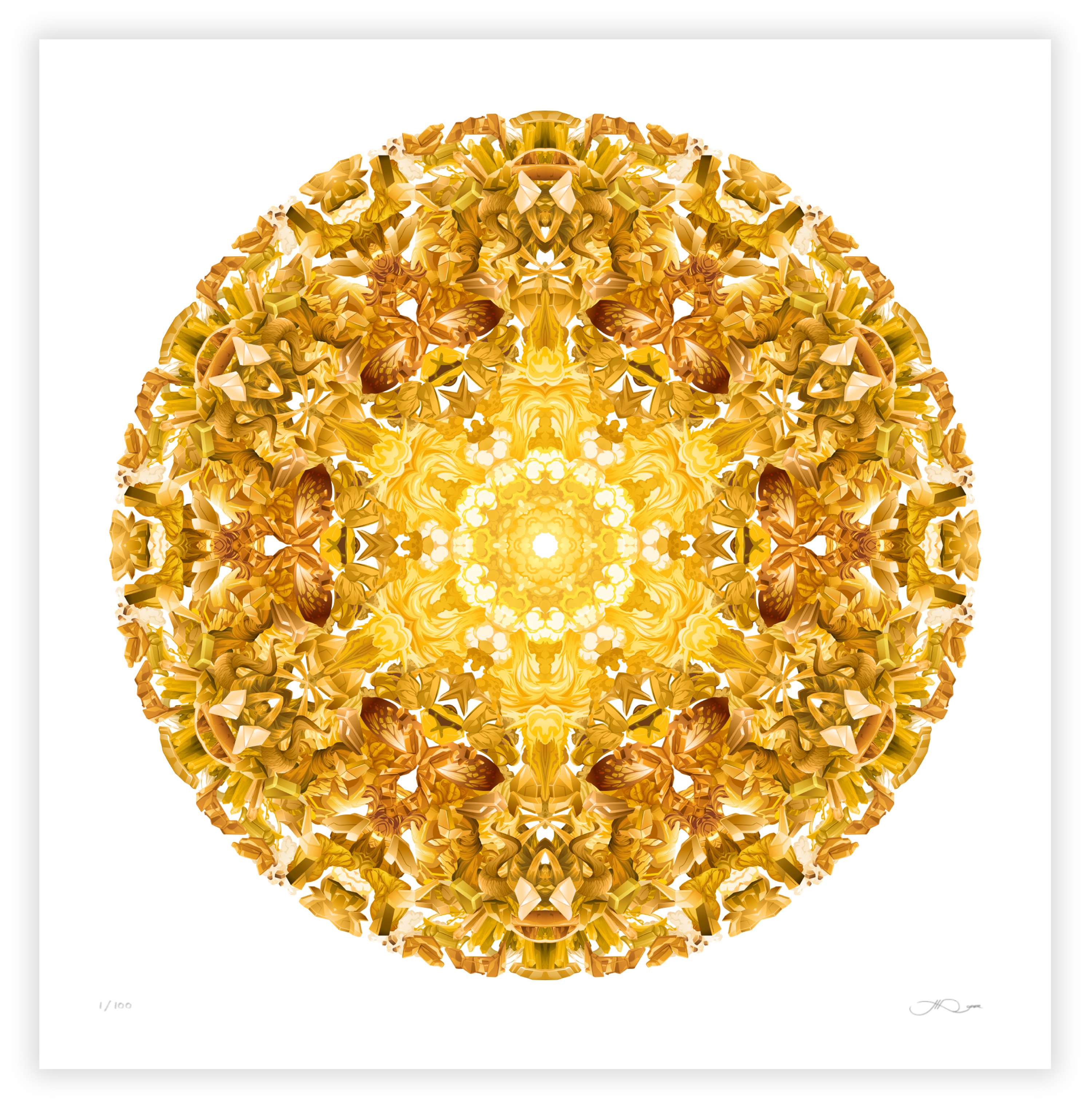 Chakra series by James Roper