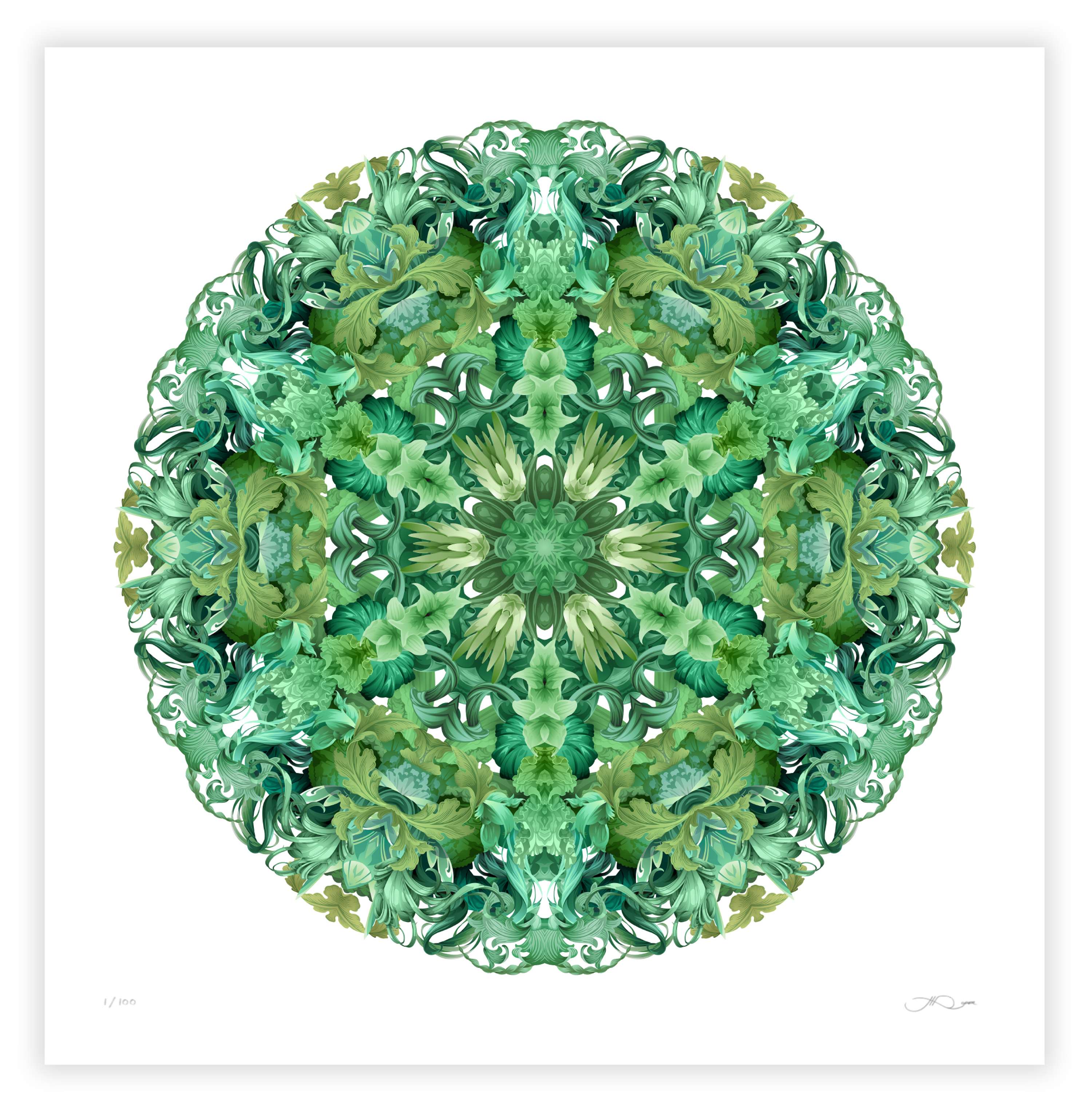 Chakra series by James Roper