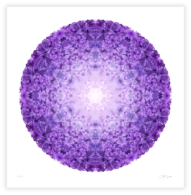 Chakra series by James Roper
