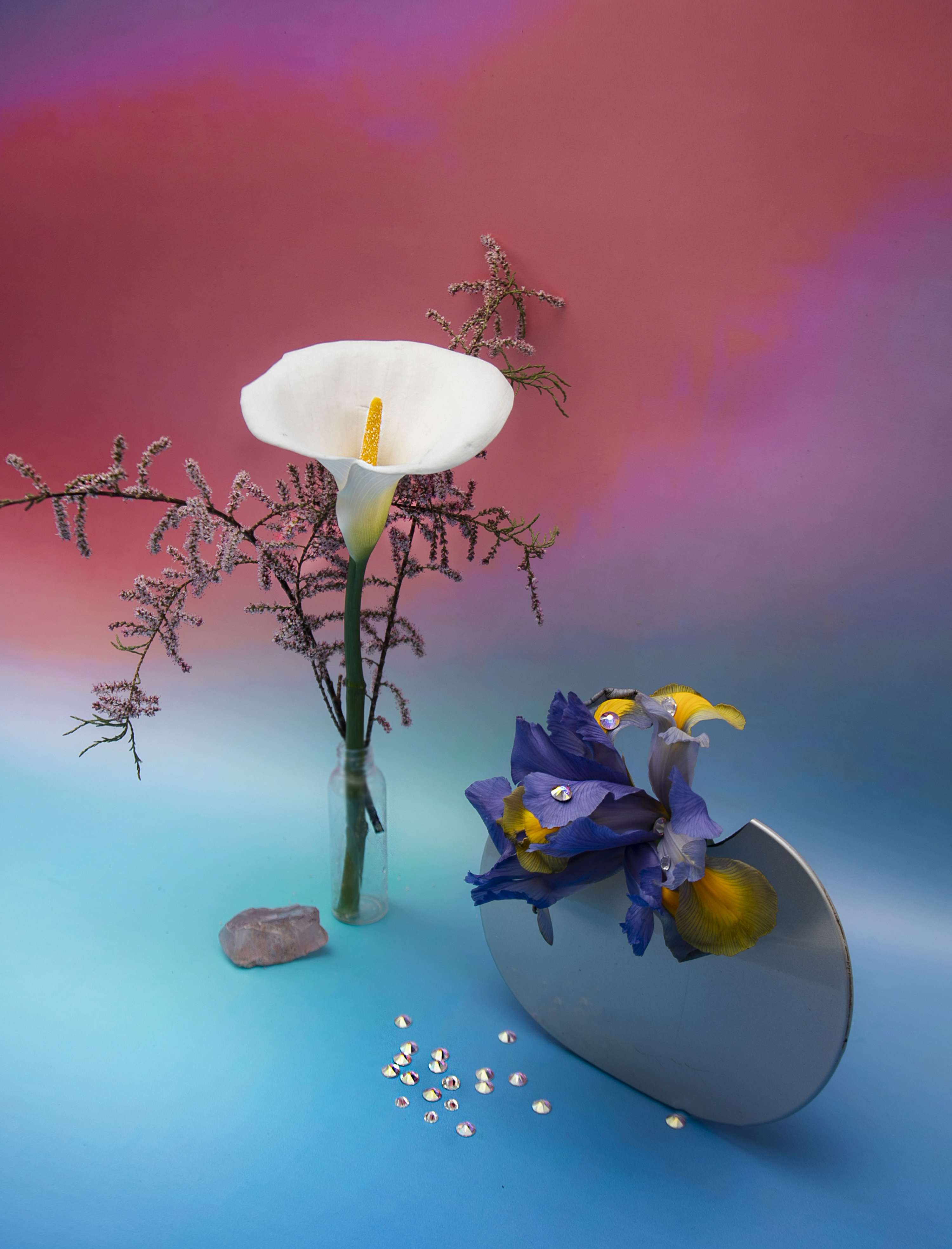 Gems & Flora by Kasia Dabrowka