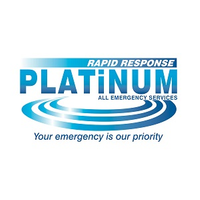 Platinum Emergency Services Ltd logo