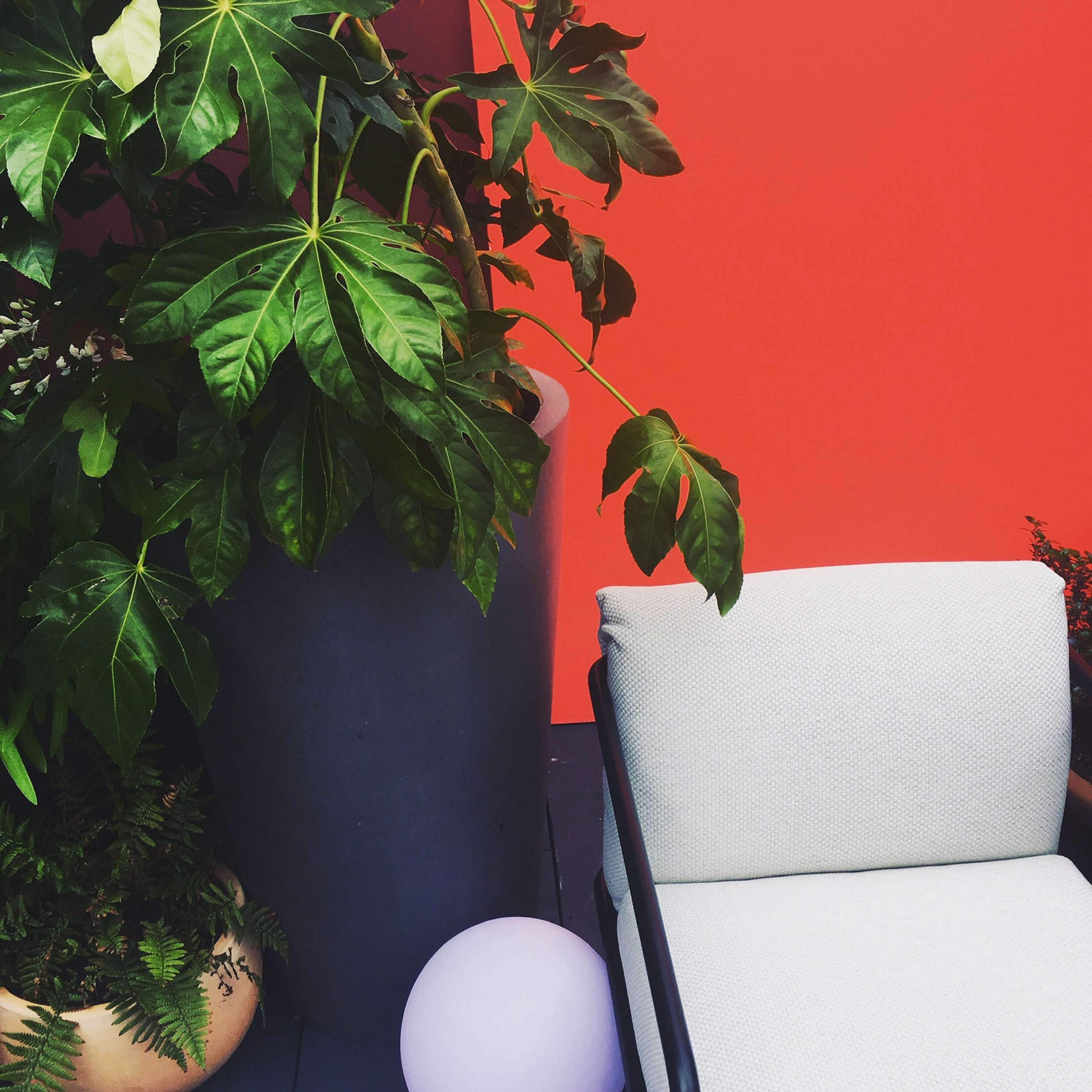 AW19 Product Preview, The Conran Shop by Annie James