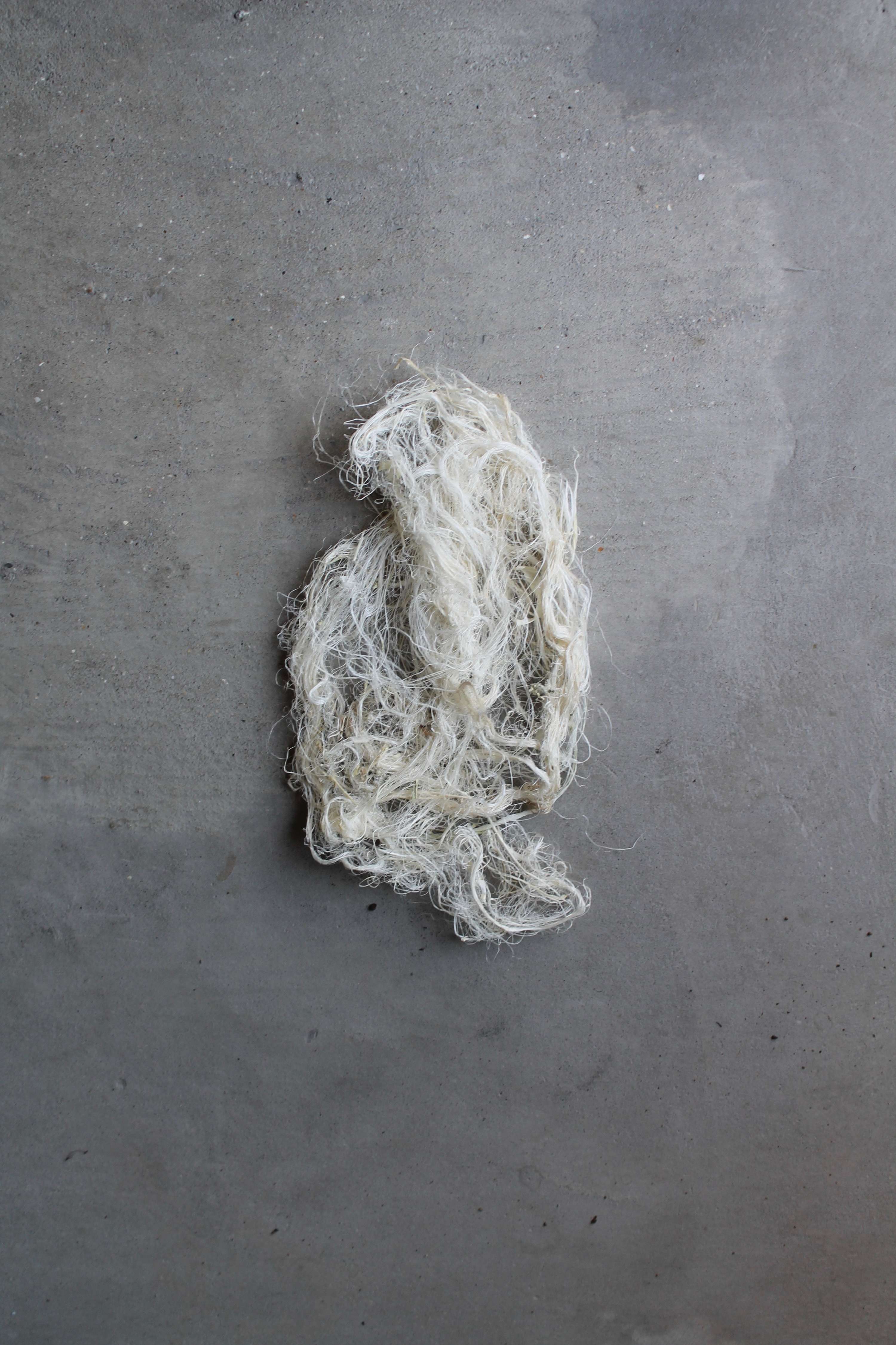 PINEAPPLE WOOL by Nathalie Spencer