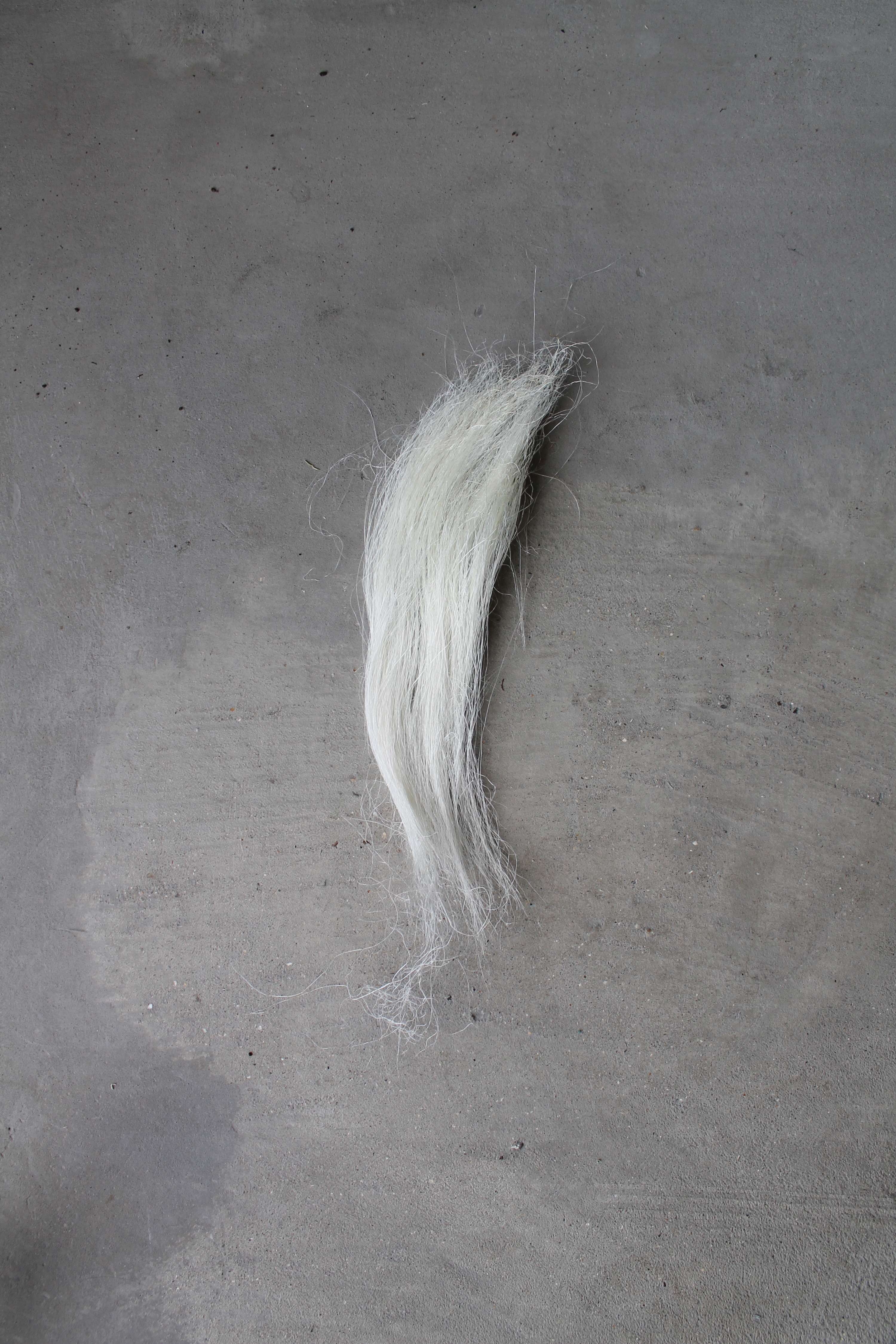 PINEAPPLE WOOL by Nathalie Spencer