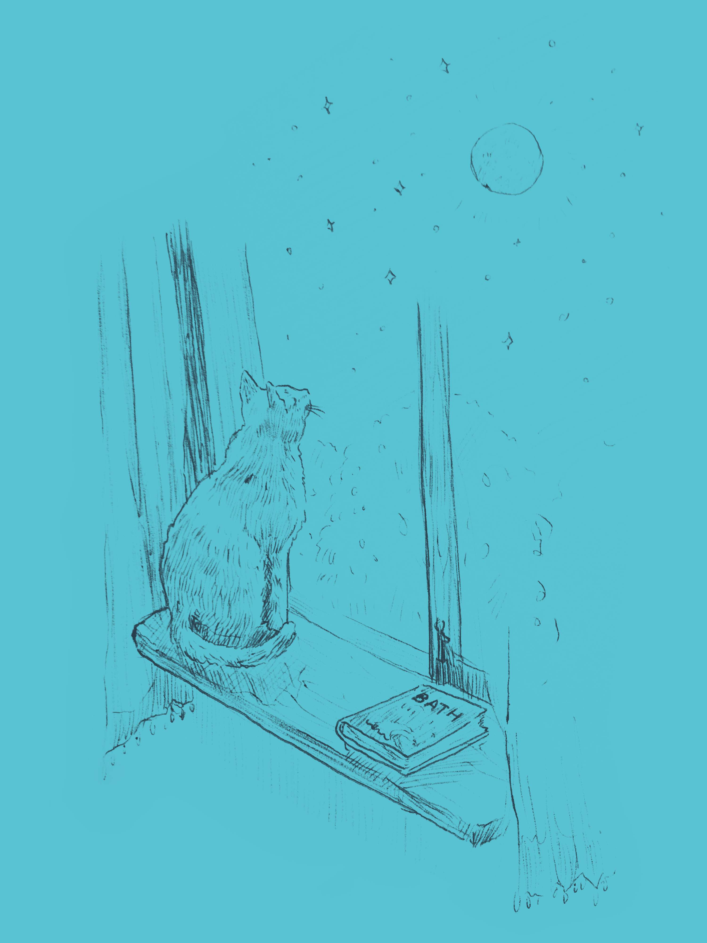 Illustrations for Soupbone's first issue by Melissa F