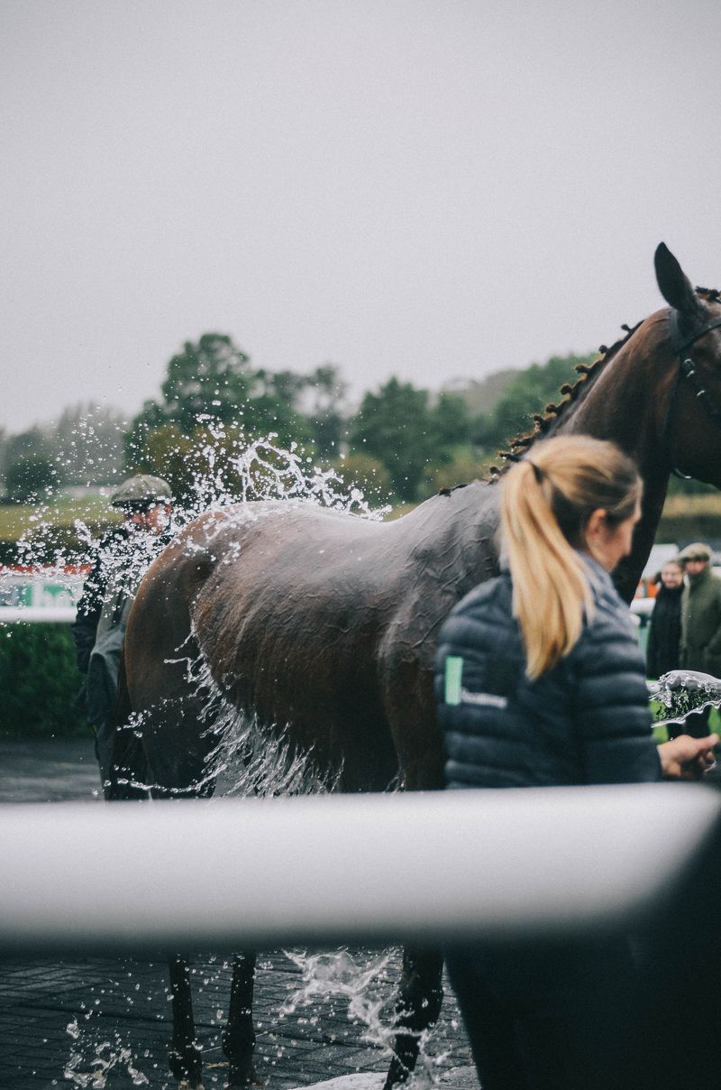 INVADES: Horse Racing Photography by Melissa F