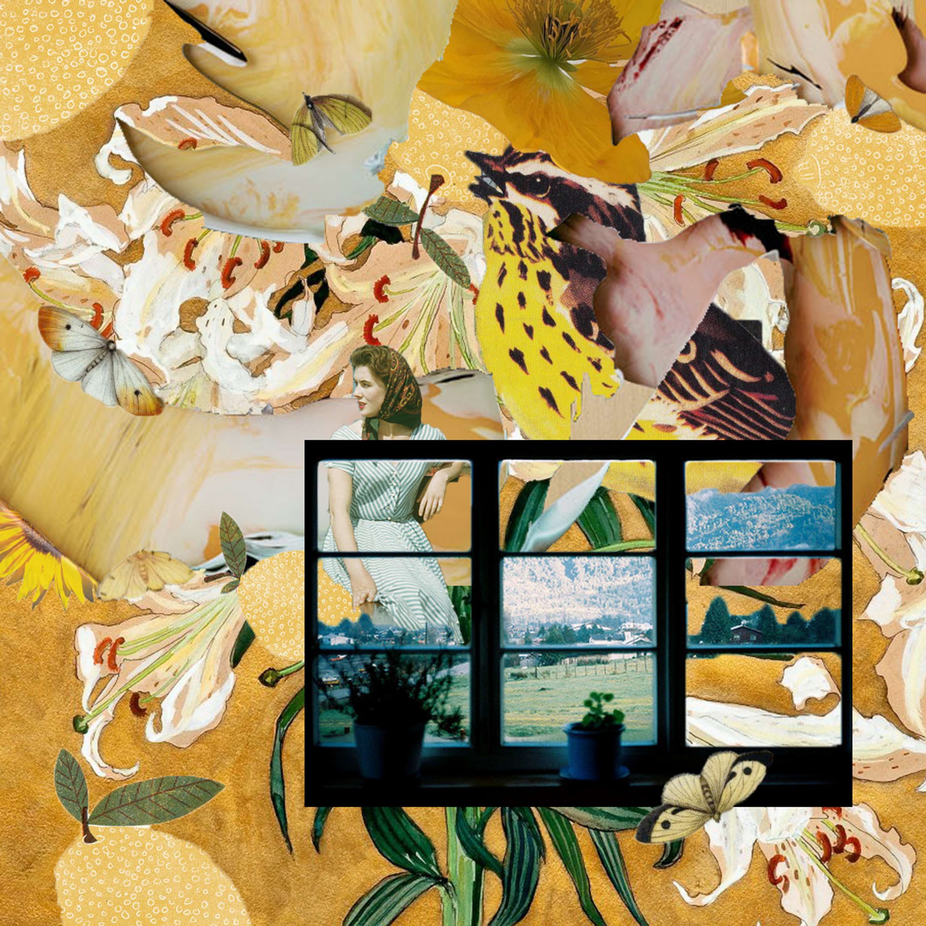 Collage Posts for Music Blog by Karina Abbott