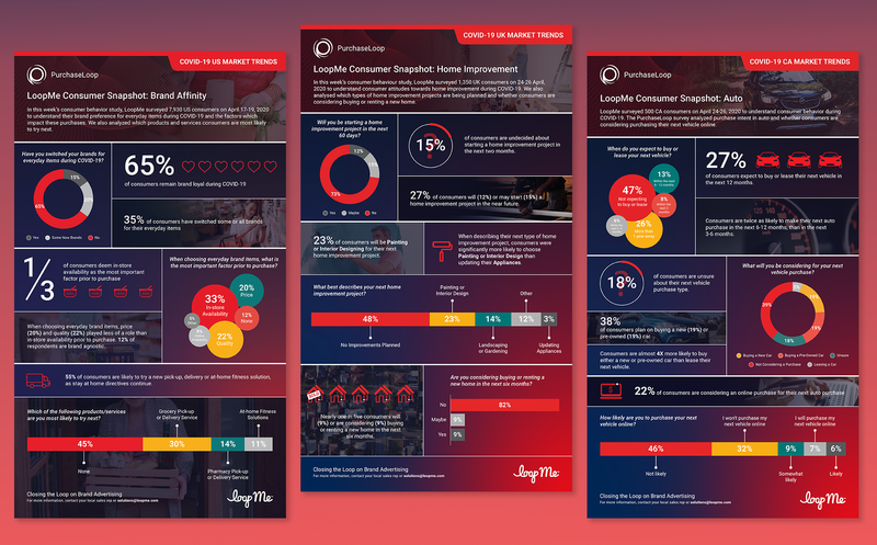 Consumer Snapshot Infographics by Medina Karaeva