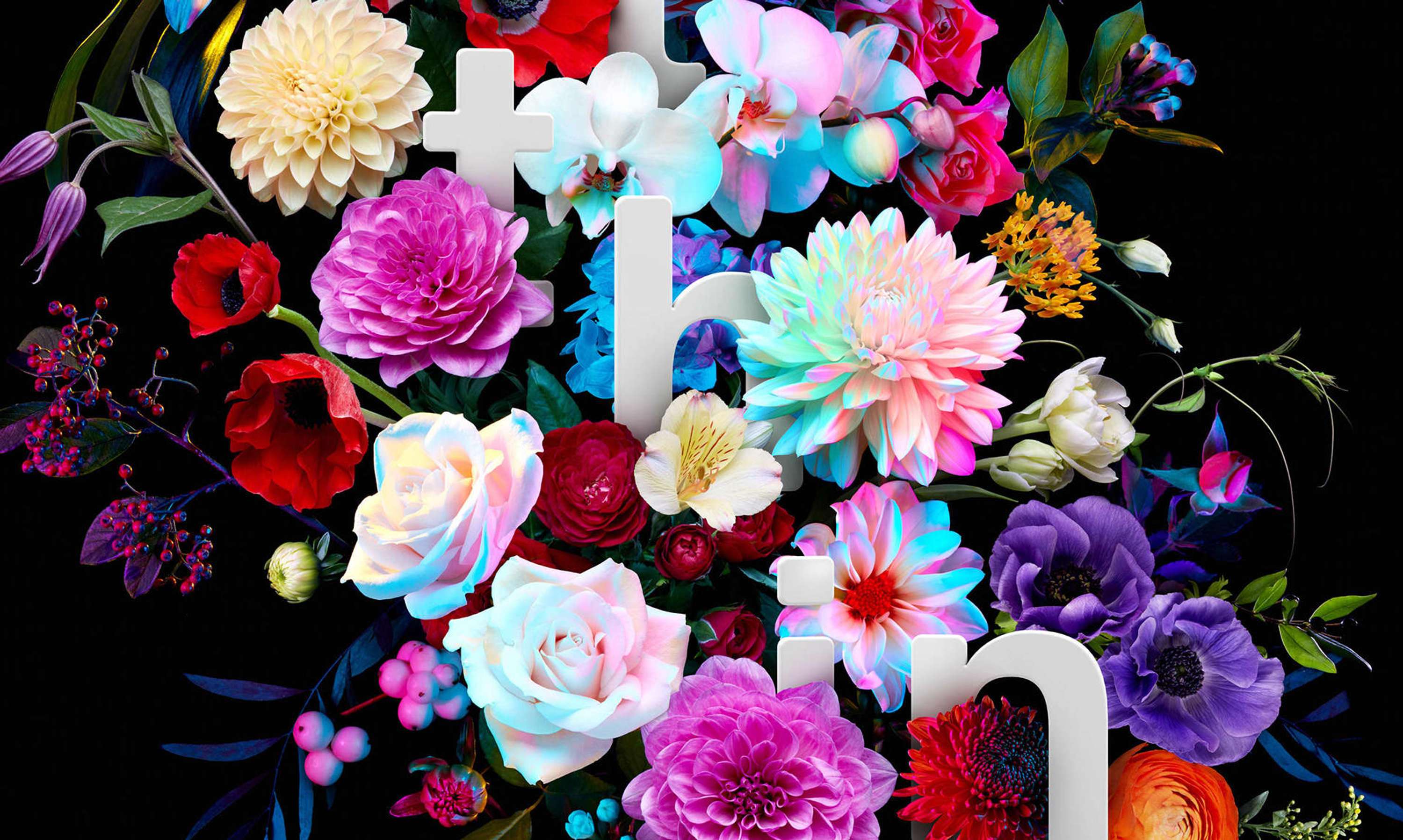 IBM x OUTTHINK by Sean Freeman & Eve Steben