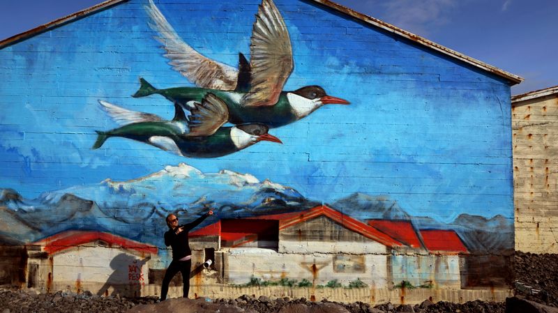 Street art Capital of Iceland by Esteban Loeschbor