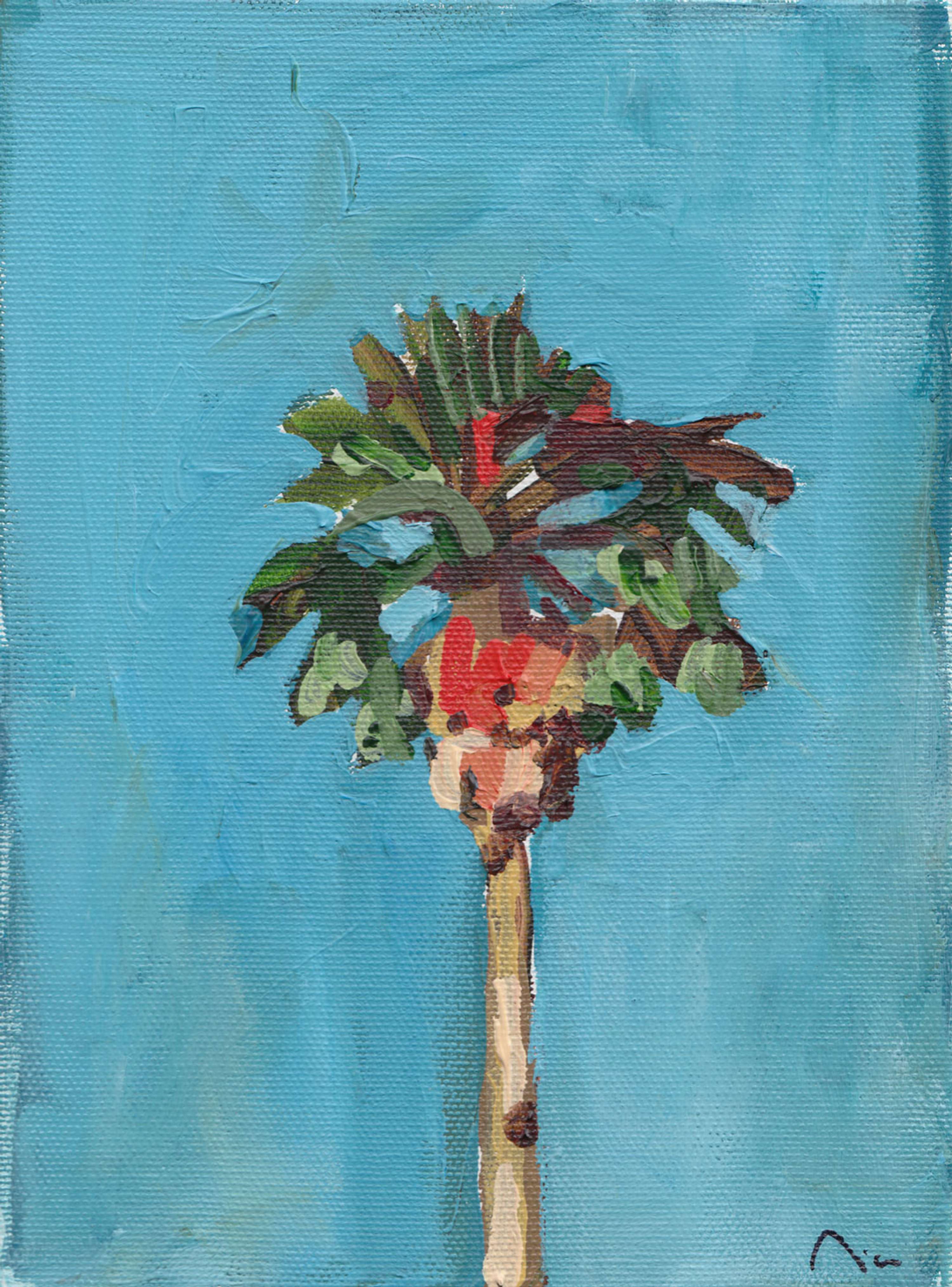 Palms by Nicolo Miyakawa