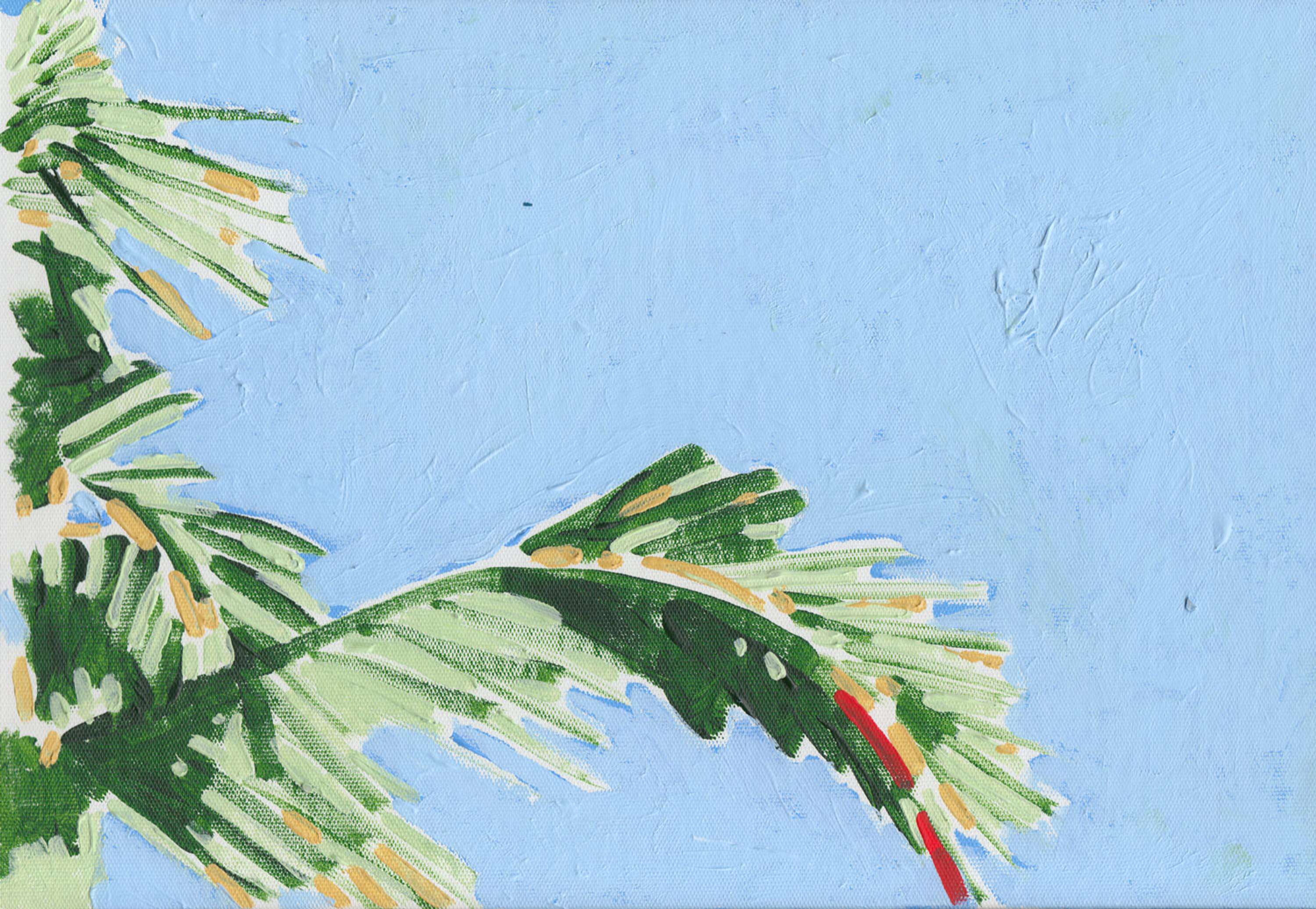 Palms by Nicolo Miyakawa