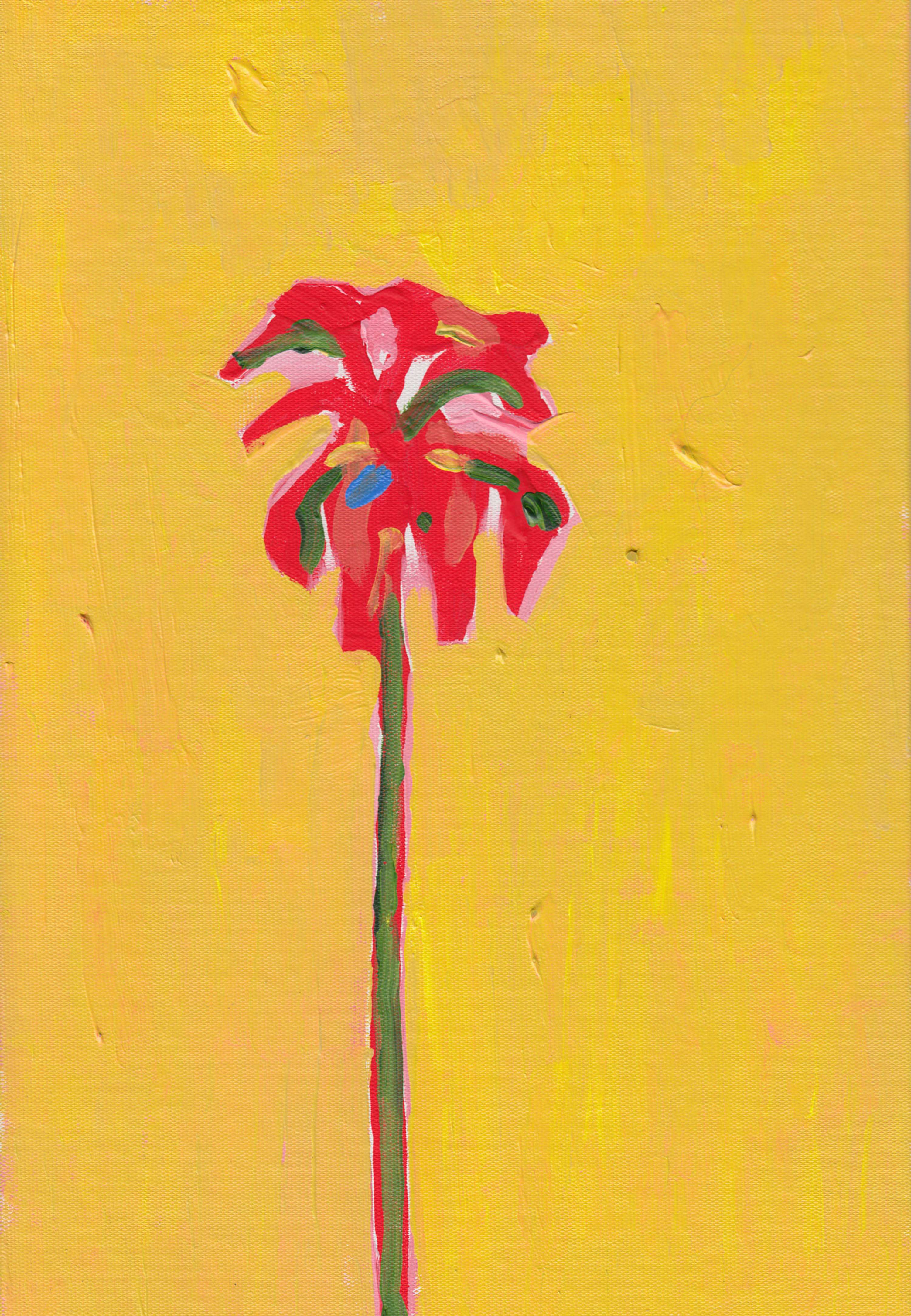 Palms by Nicolo Miyakawa