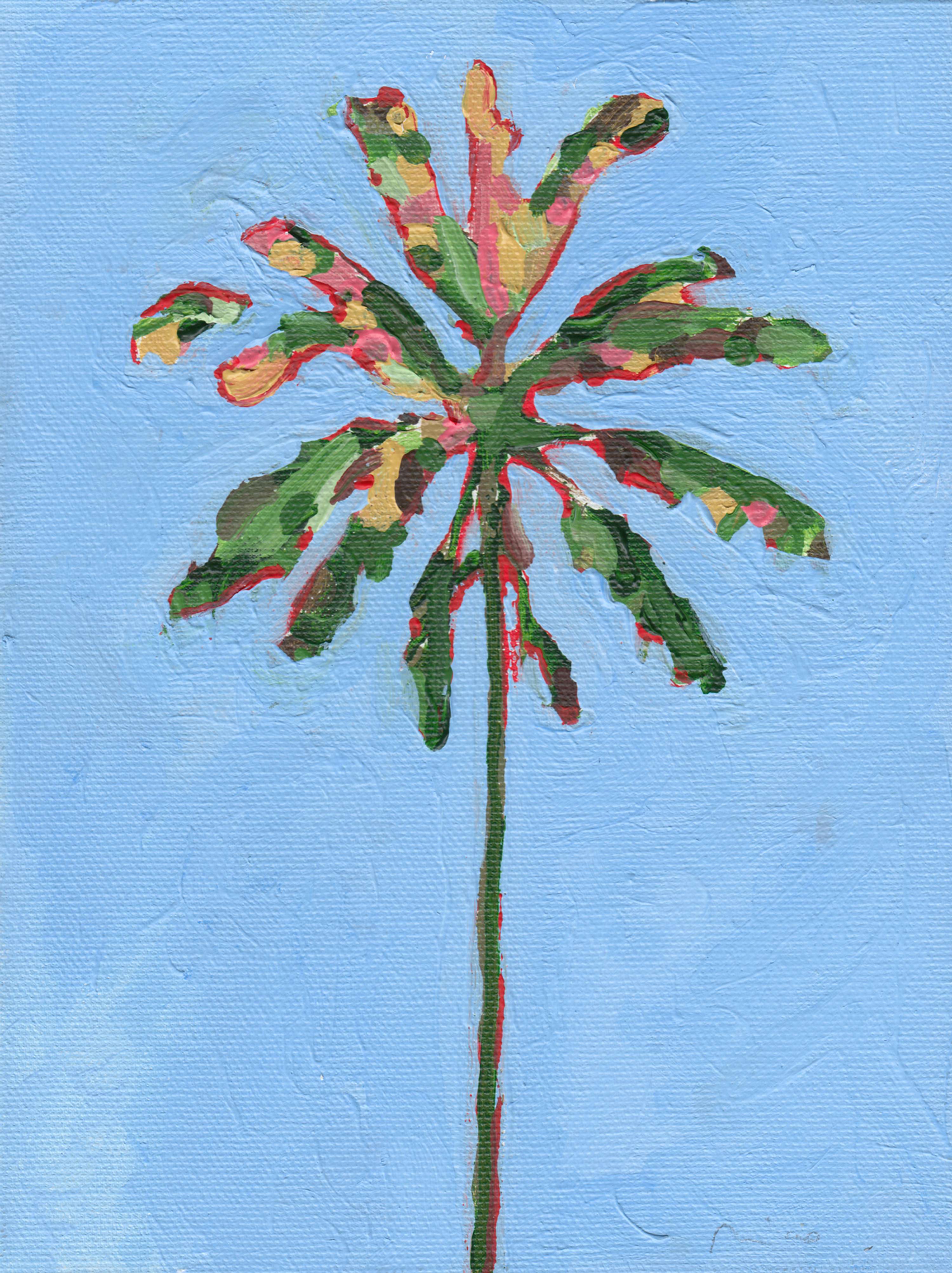 Palms by Nicolo Miyakawa