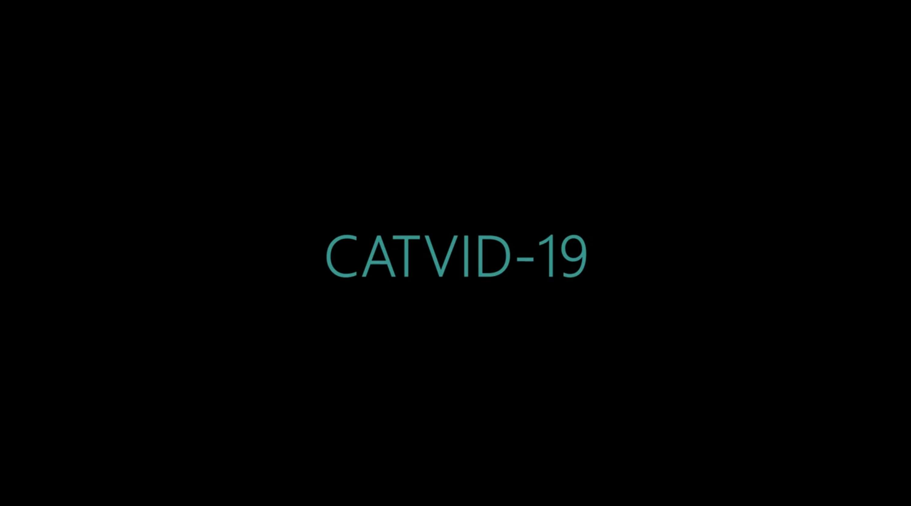 'CATVID-19' - Web series by Sean Kinnear