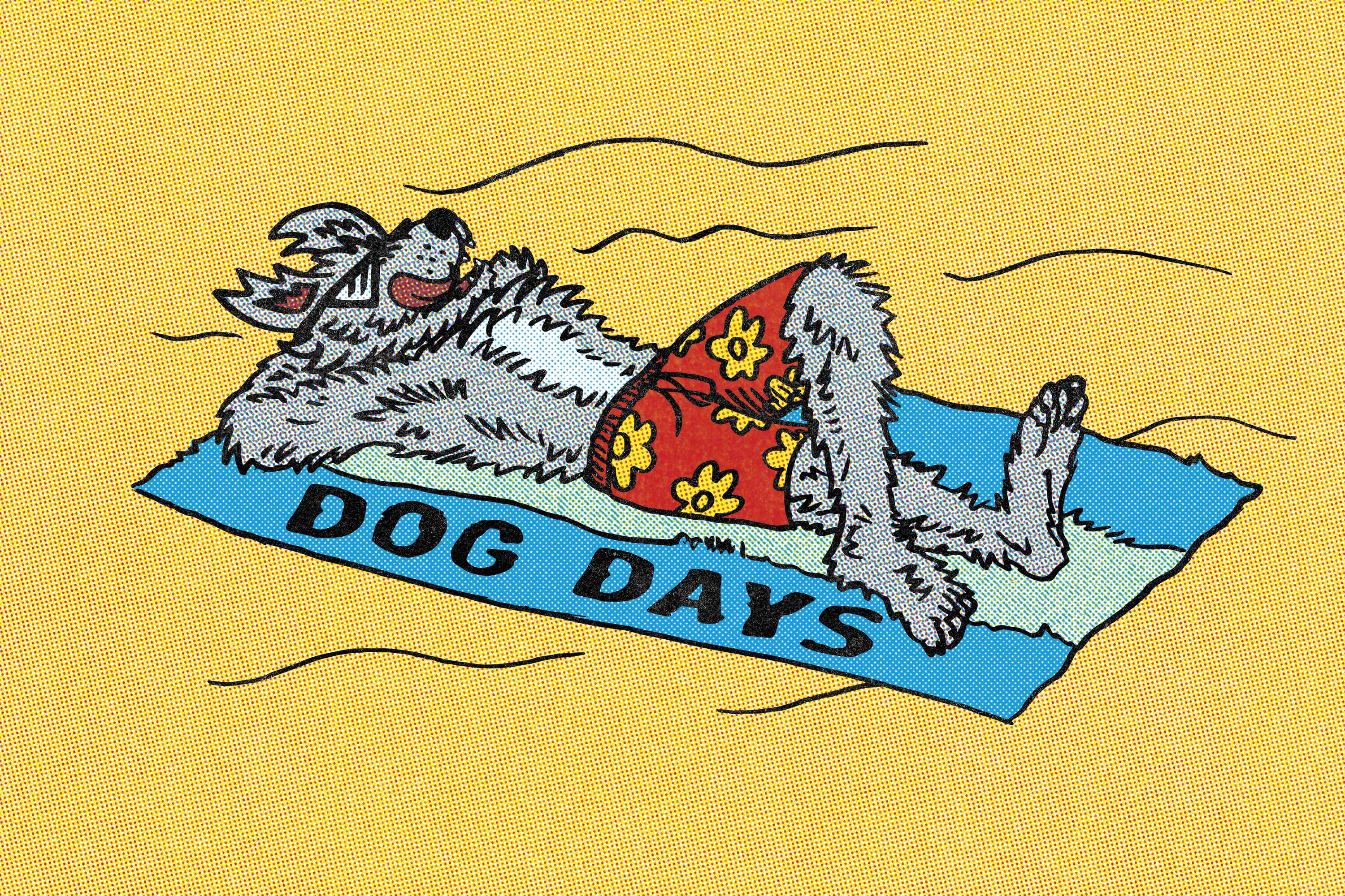 Identity Project "Dog Days" by ethan Carroll