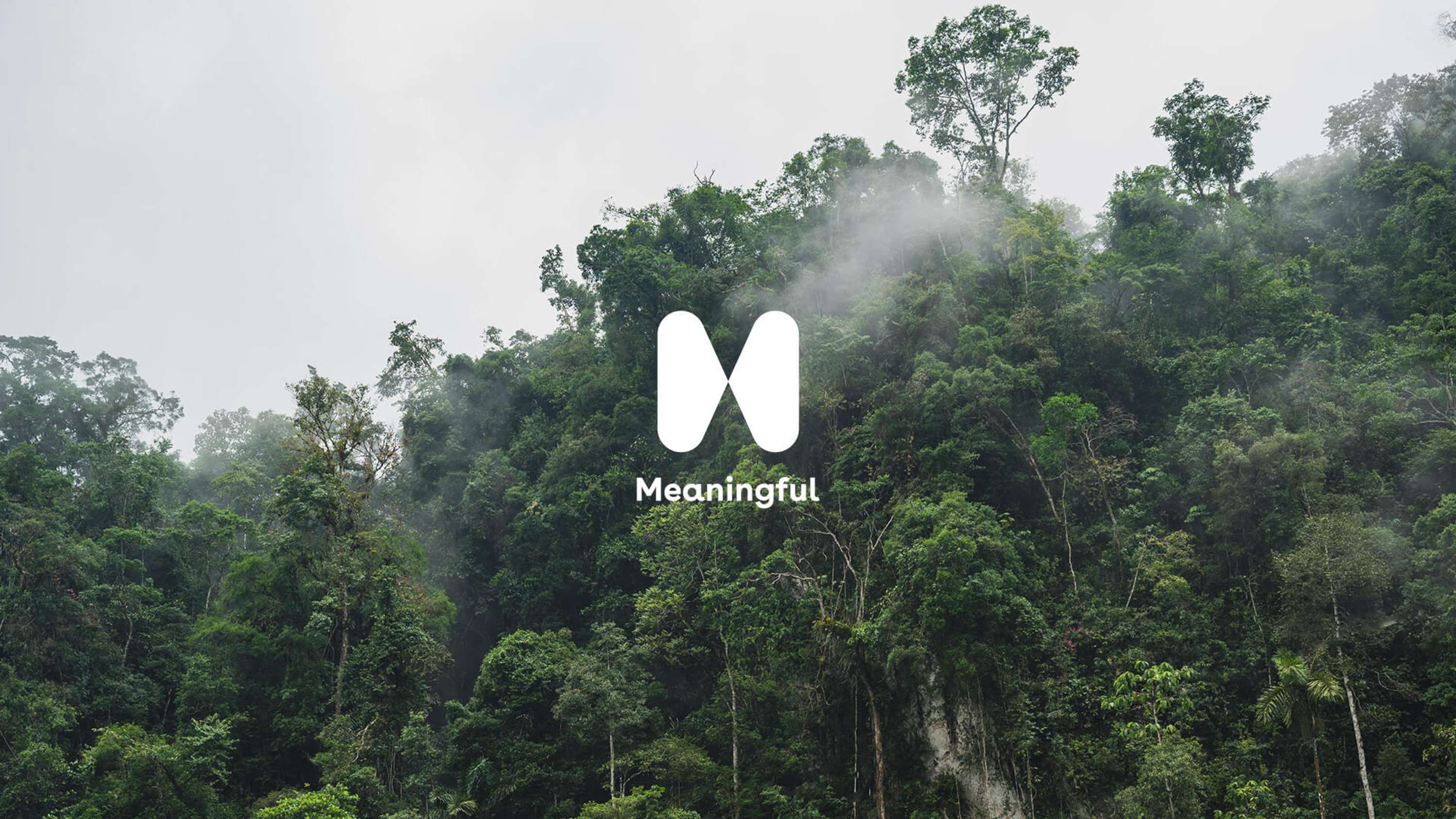 Meaningful, communications for a changing world by Elena Manfredi