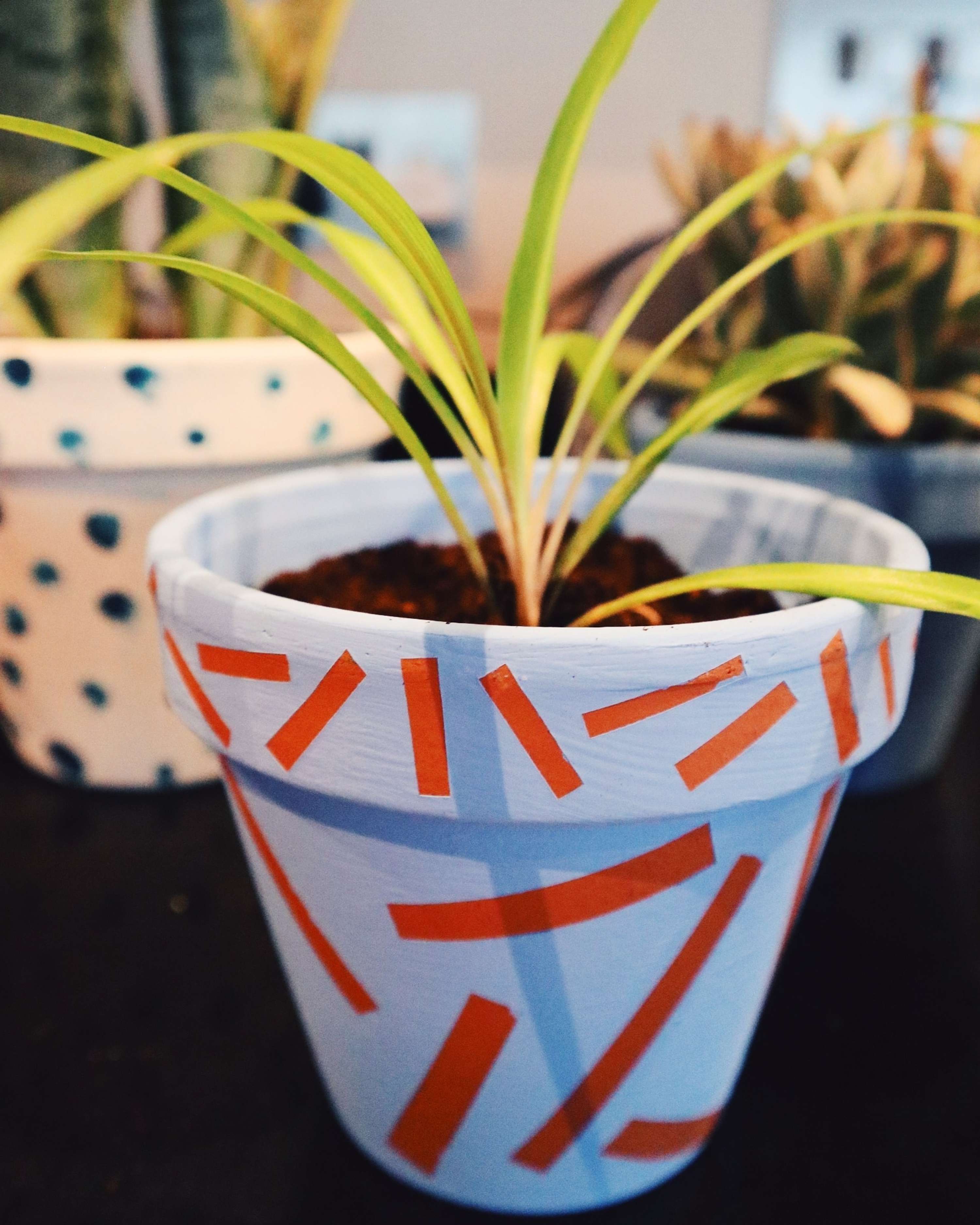 Repot — Visual Identity by Mona Sharif