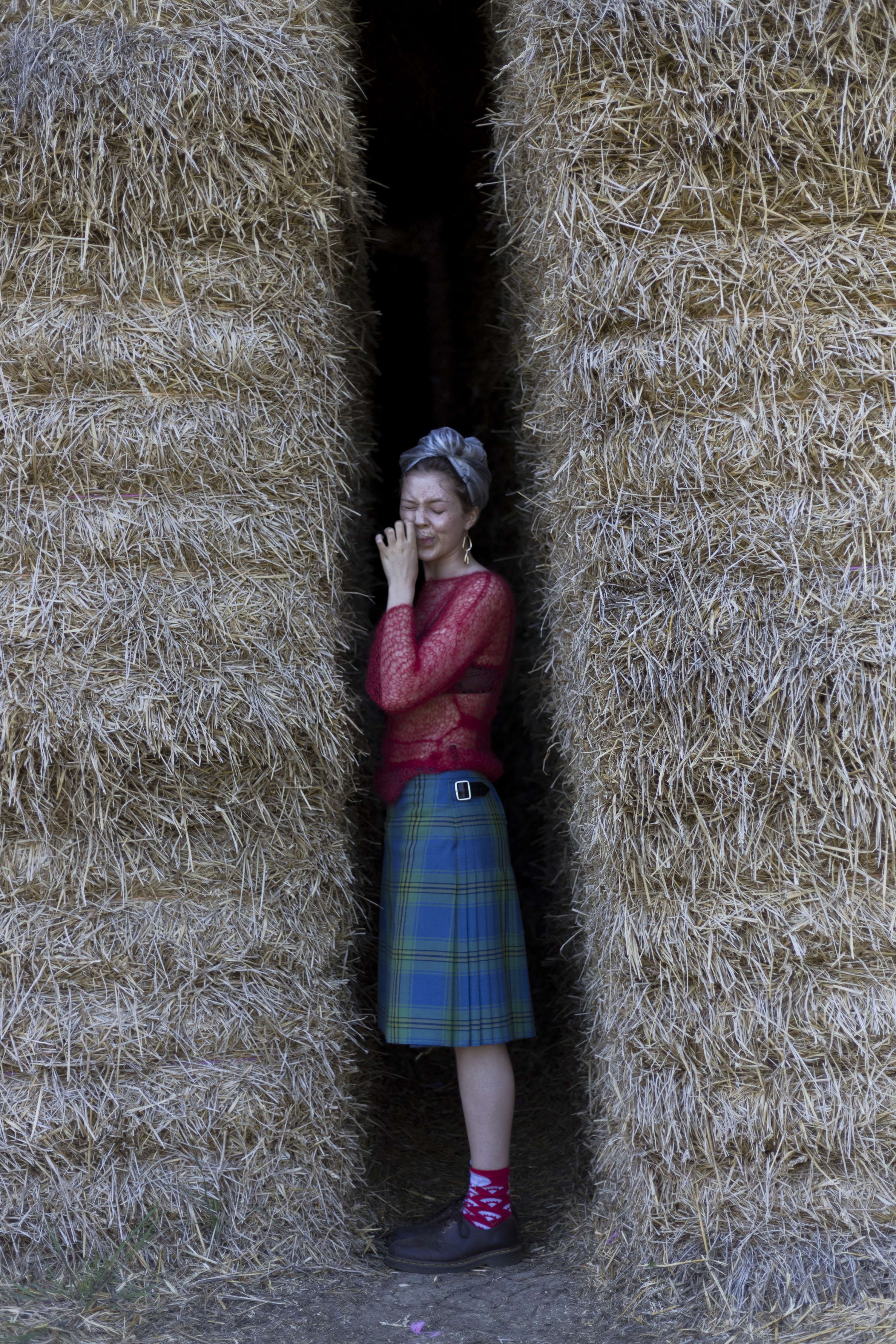 Hay There by Honor Dansie