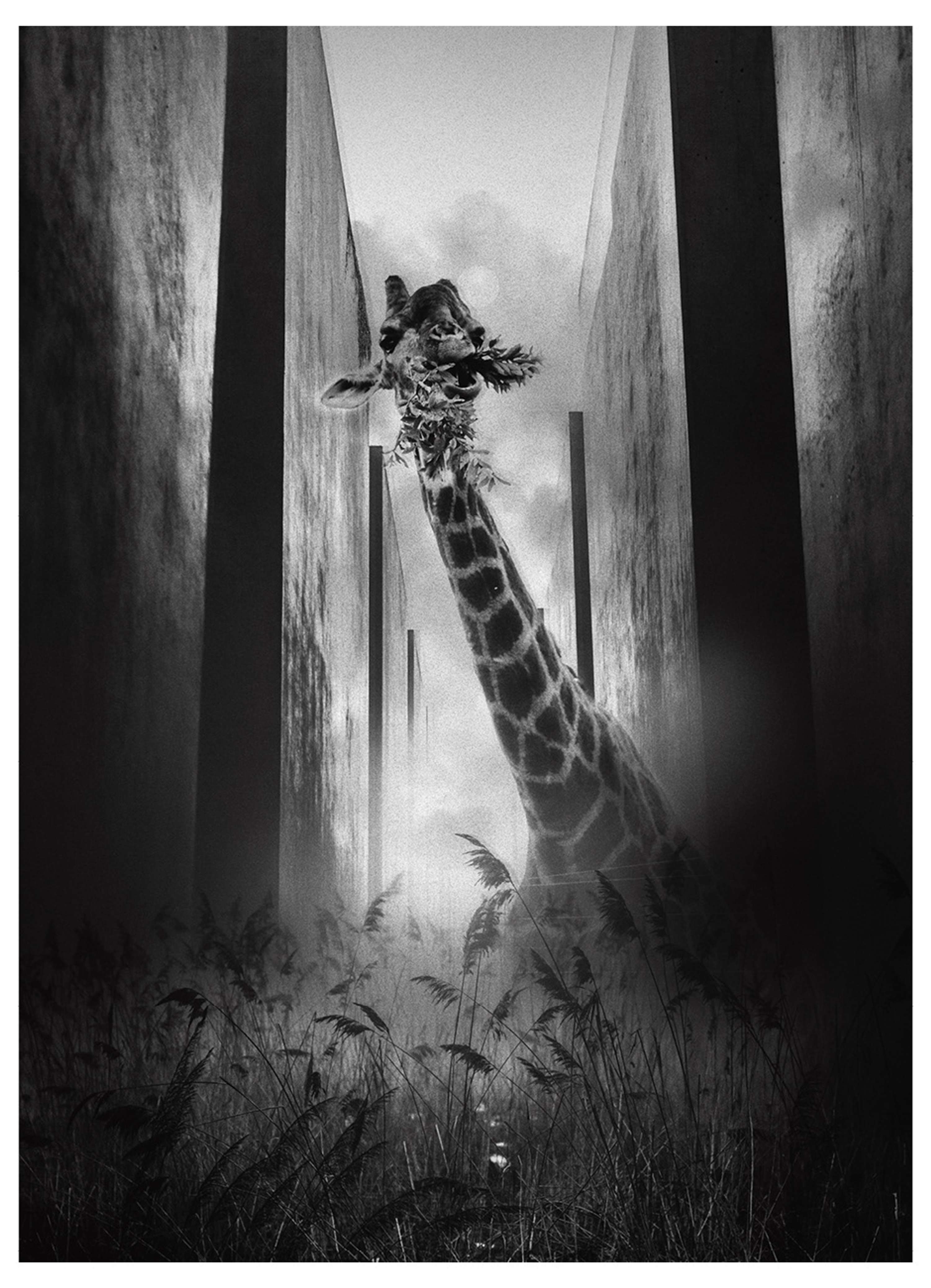 "Beyond" what the world will look like if quarantine doesn’t end by Giovanni Garrone