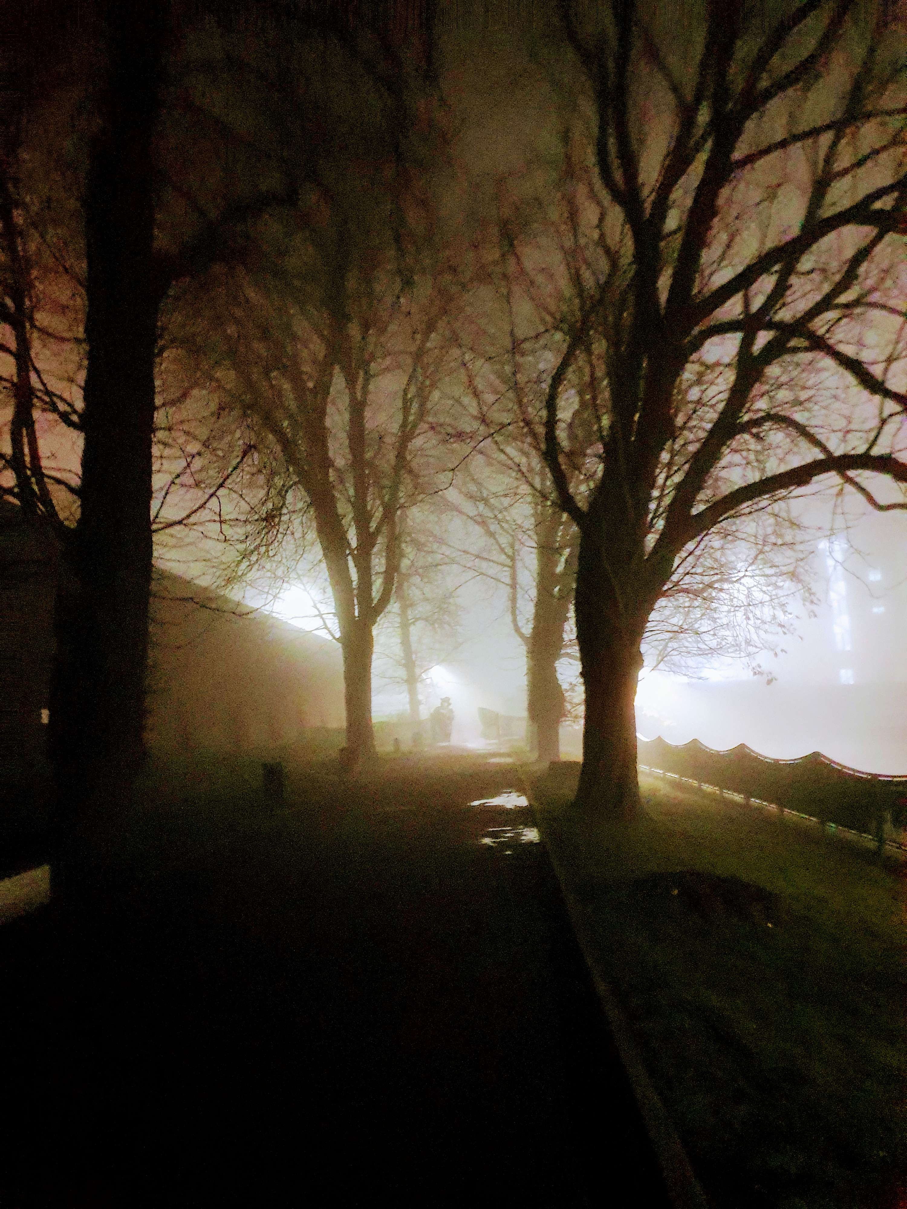 Into the mist. by Shaswati Deb