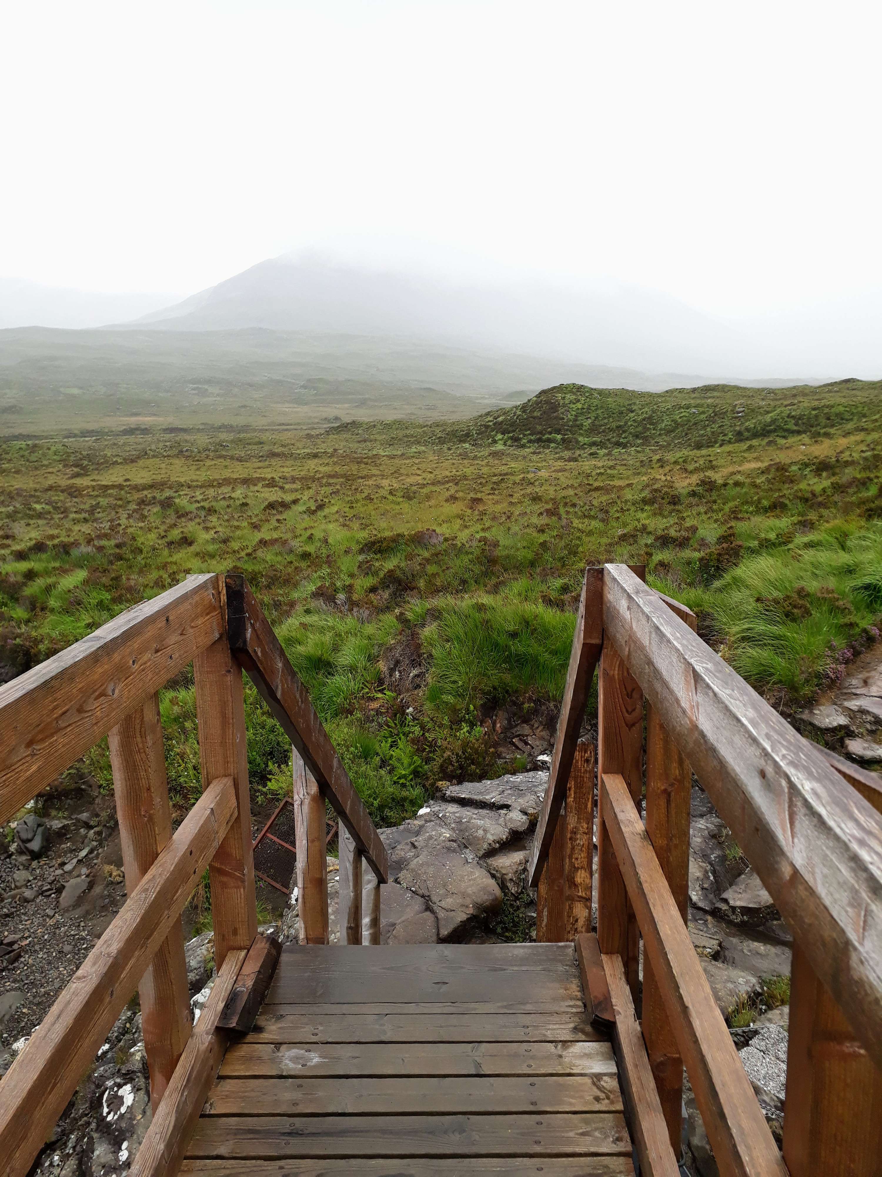 The bridge to nowhere by Shaswati Deb