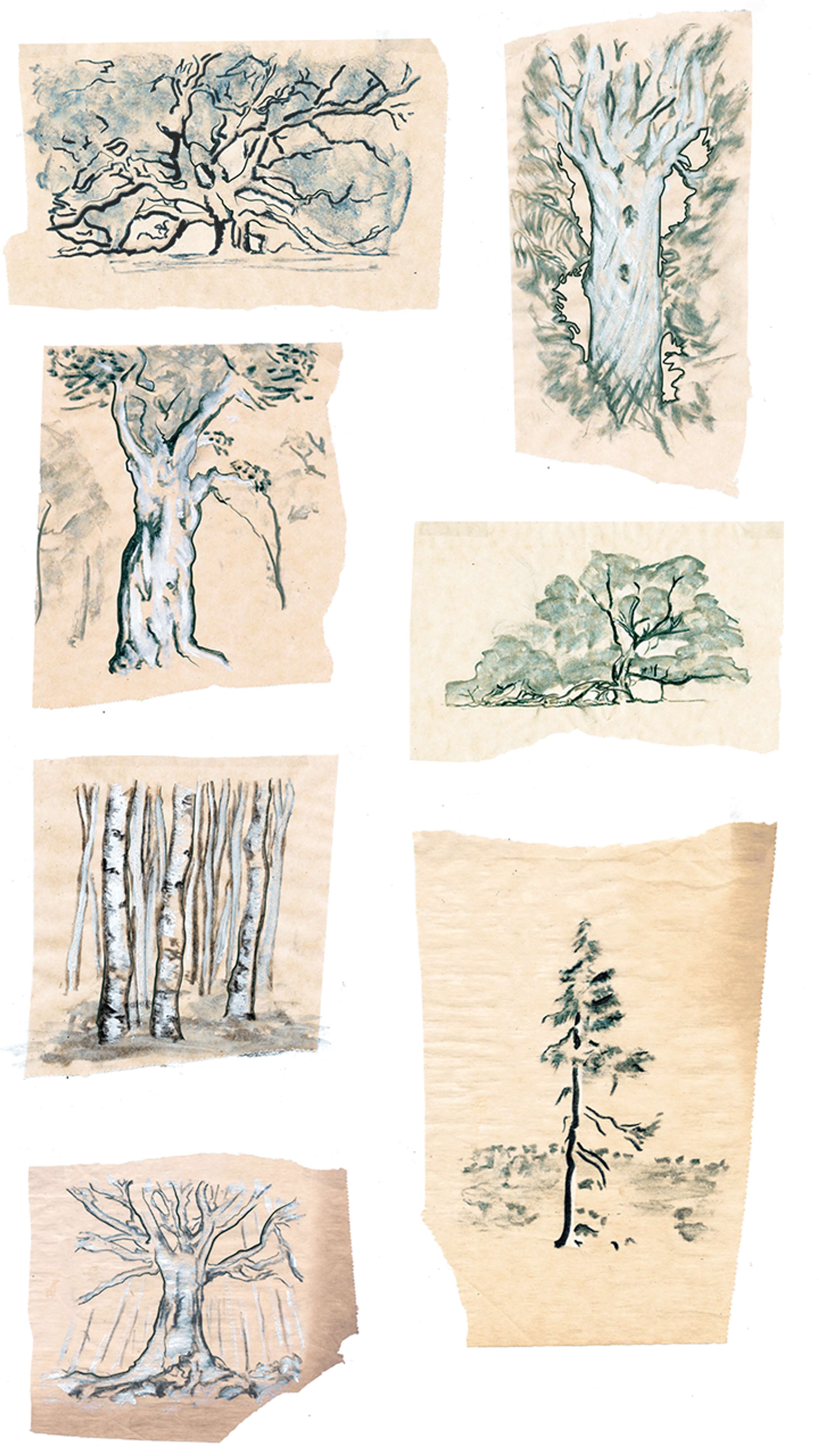 Arboretum by Ben Farmer