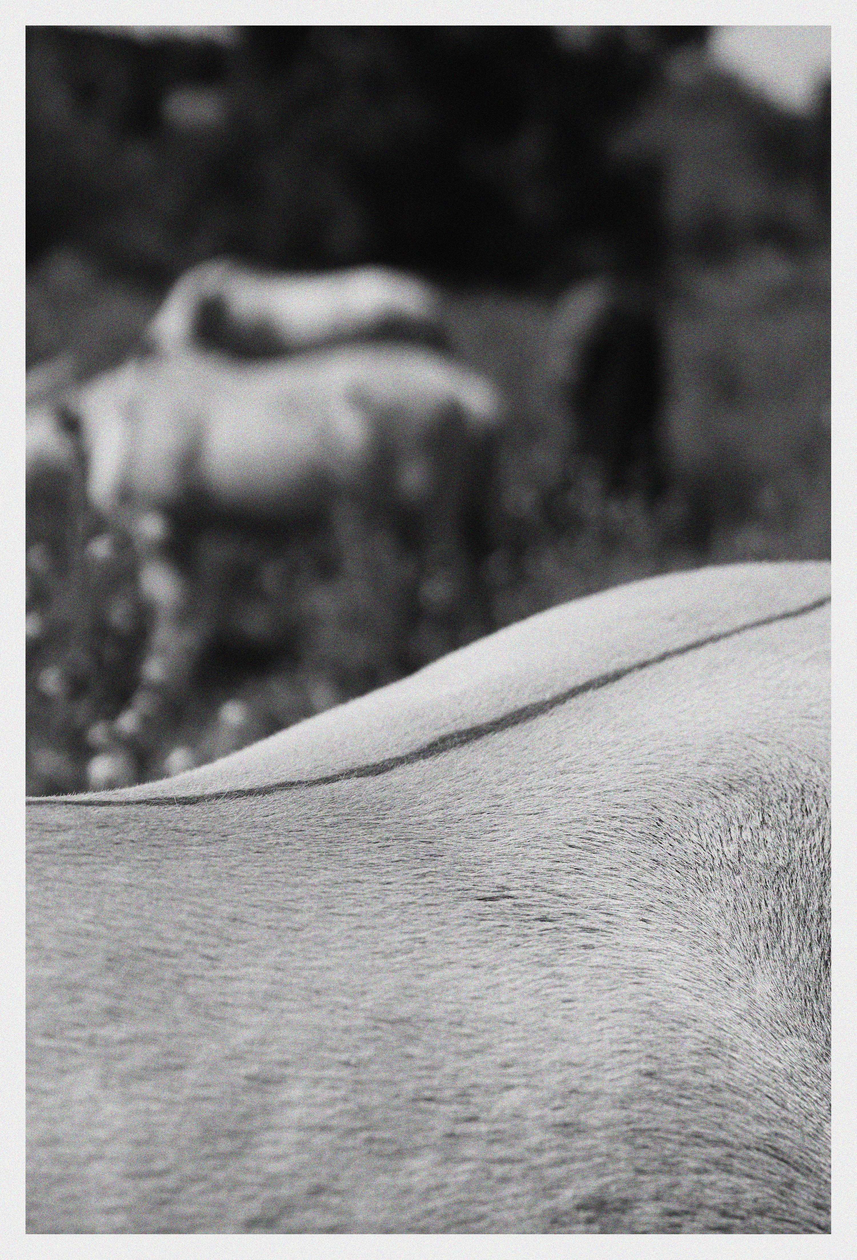 Daily Walk Findings by Júlia Martinho