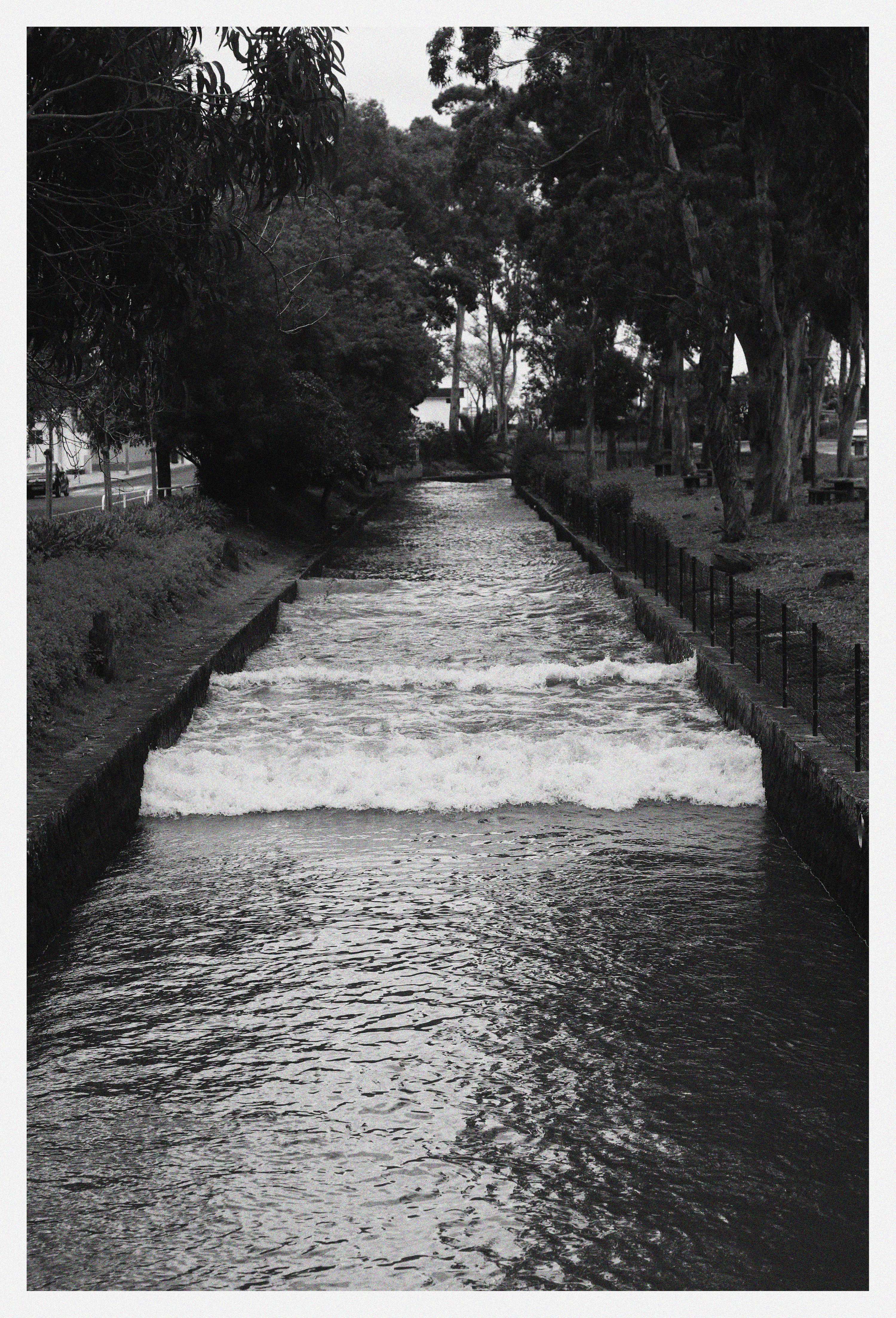 Daily Walk Findings by Júlia Martinho