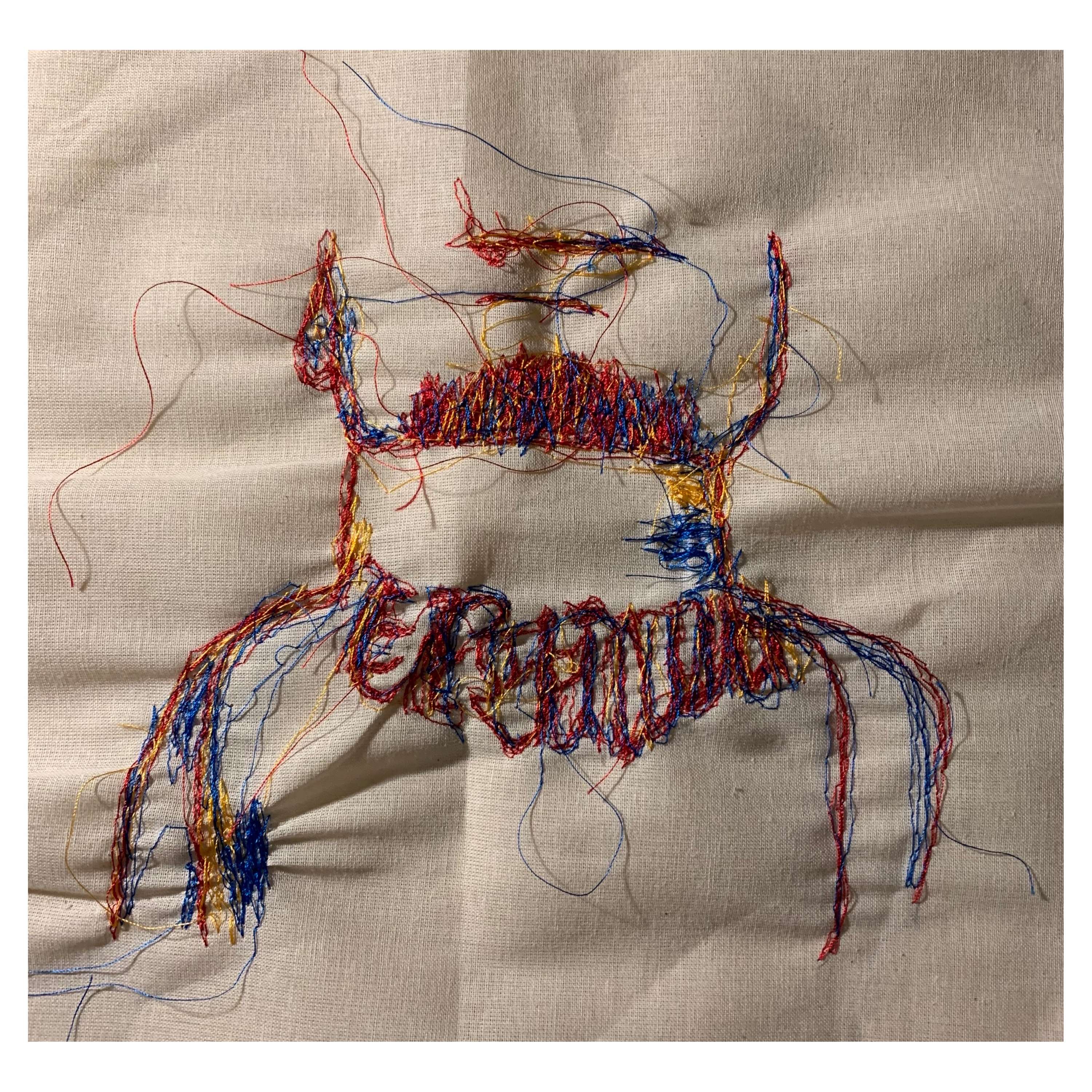 Unsystematic Tailoring by Amber Sardinha