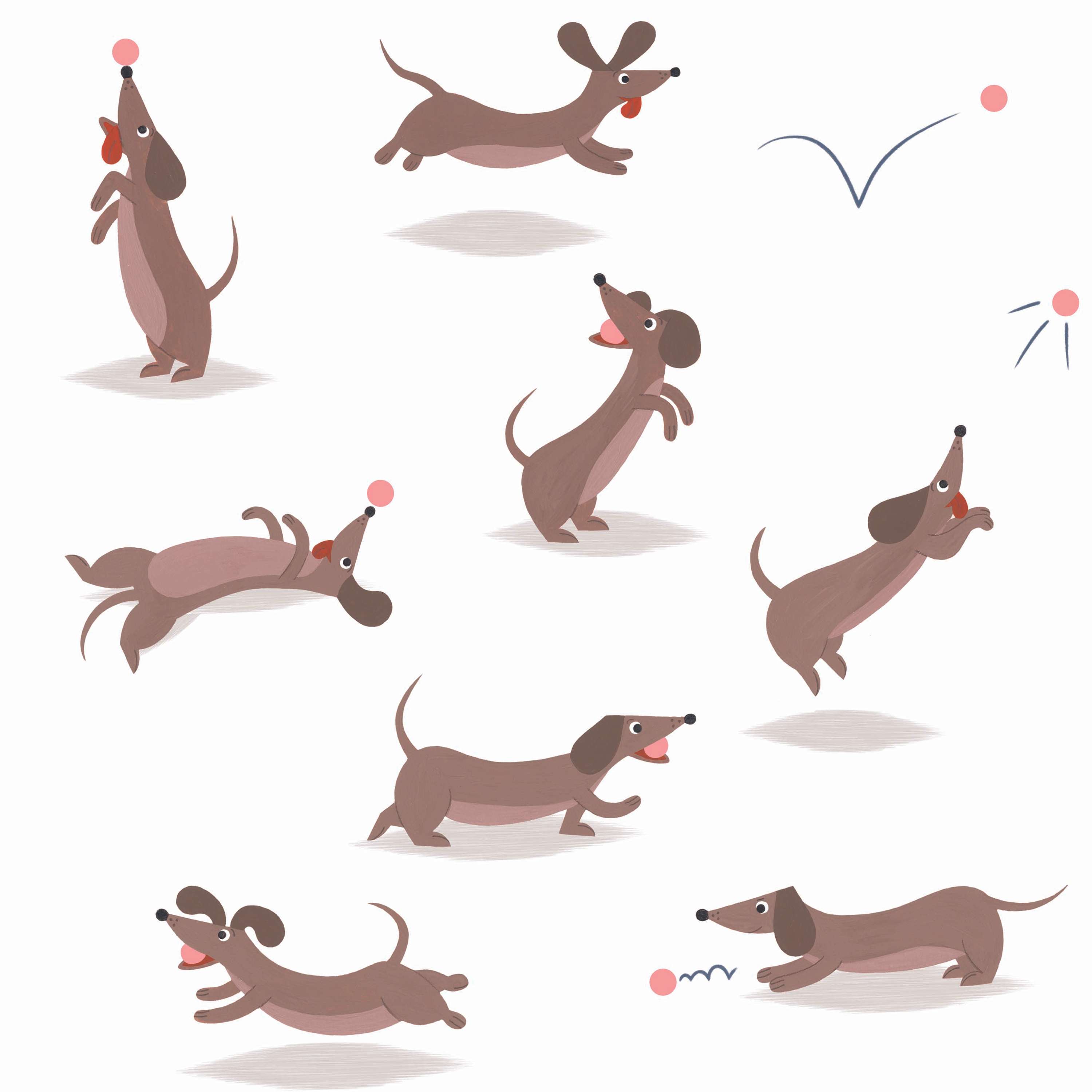 Sausage Dog Collection by Bethany Drake