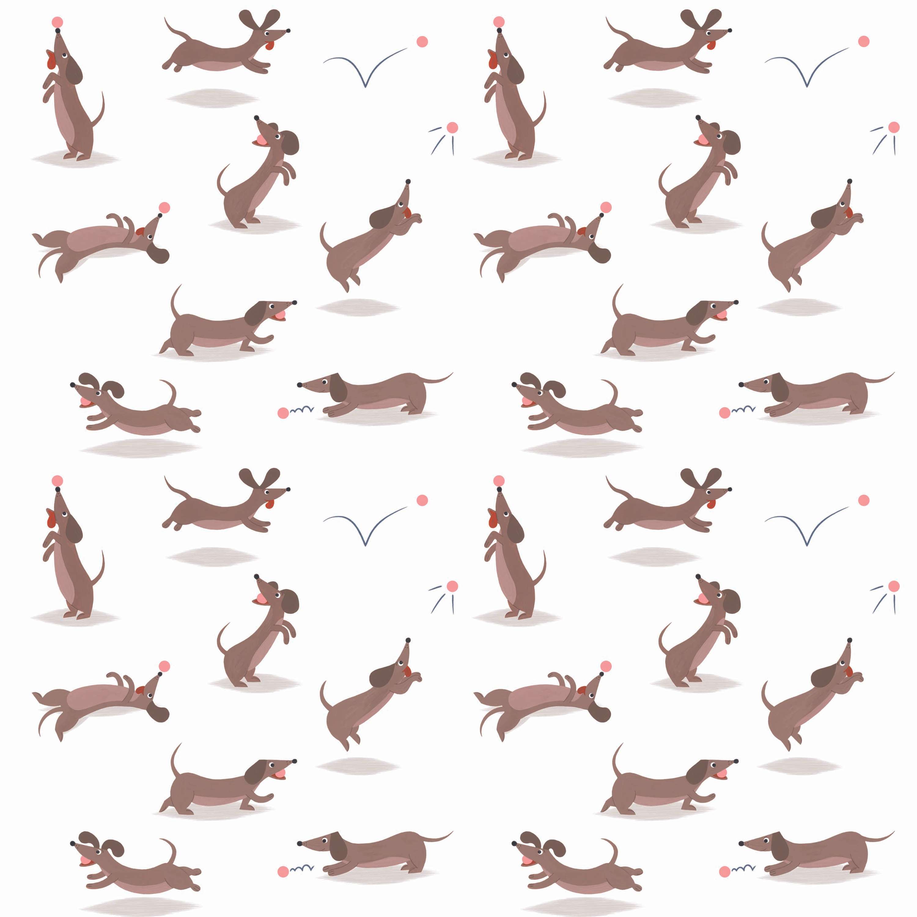 Sausage Dog Collection by Bethany Drake