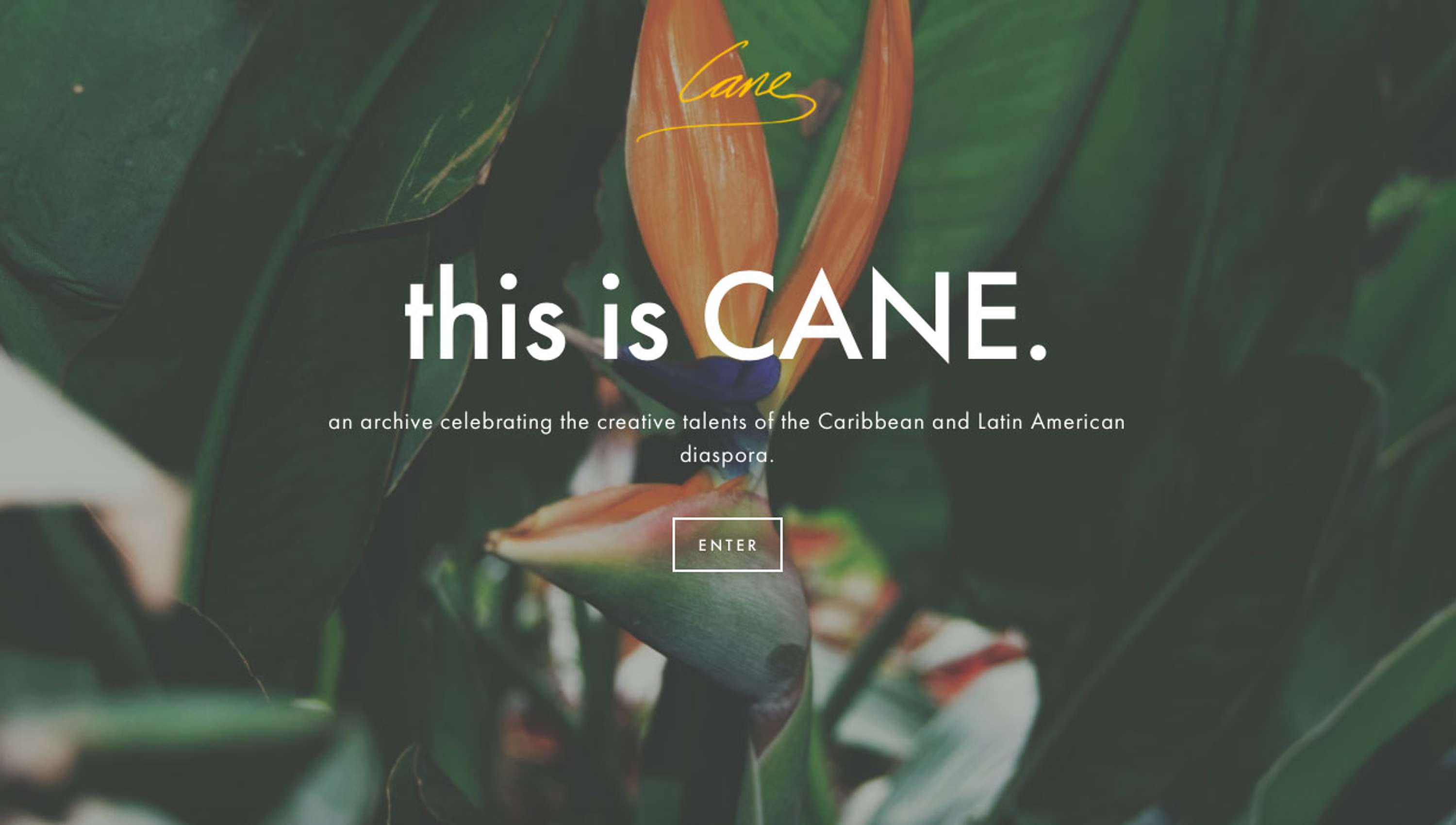 CANE Archive 01 by Jamal George-Sharpe