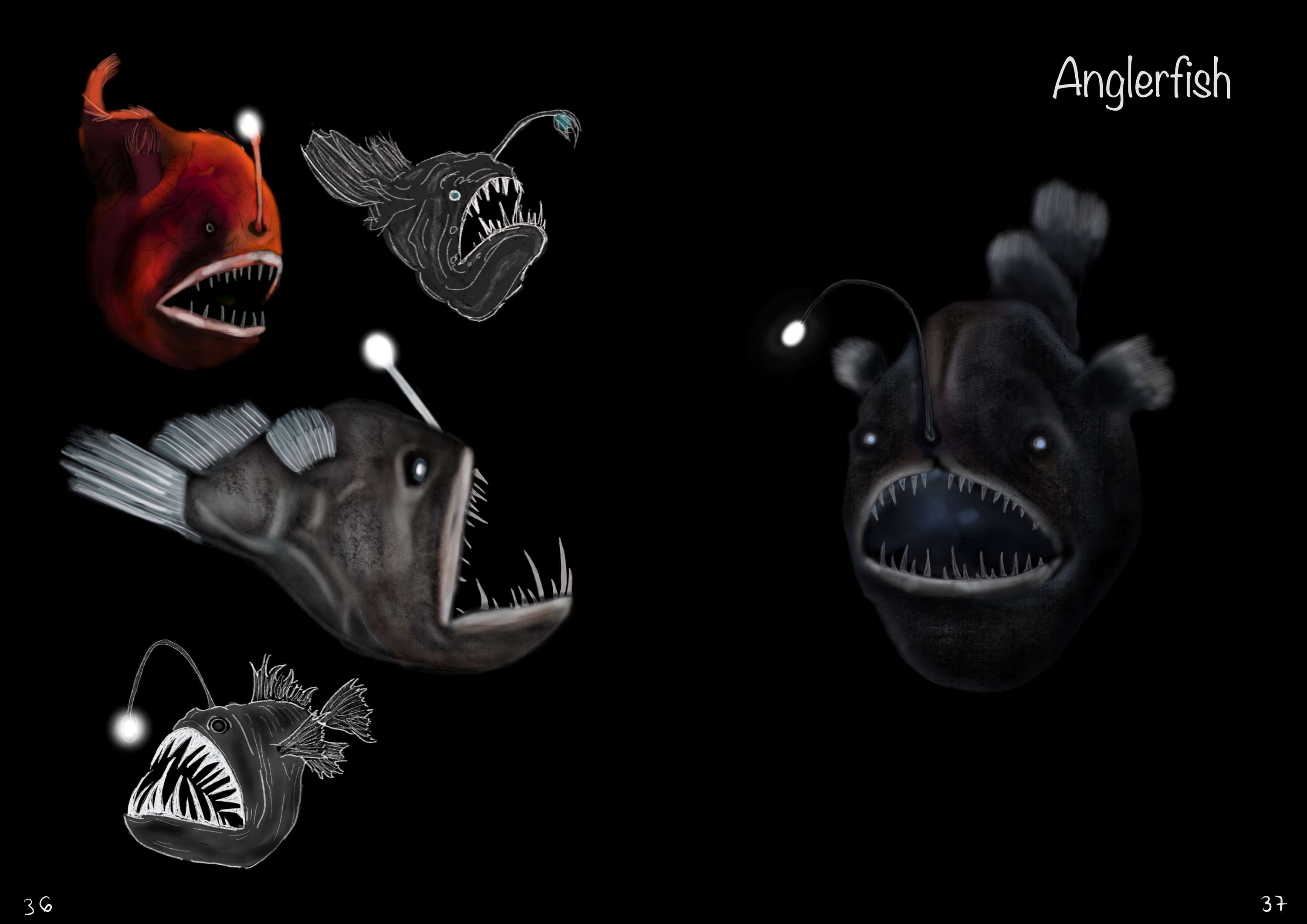 Creature Designs by Evelynne Stamp