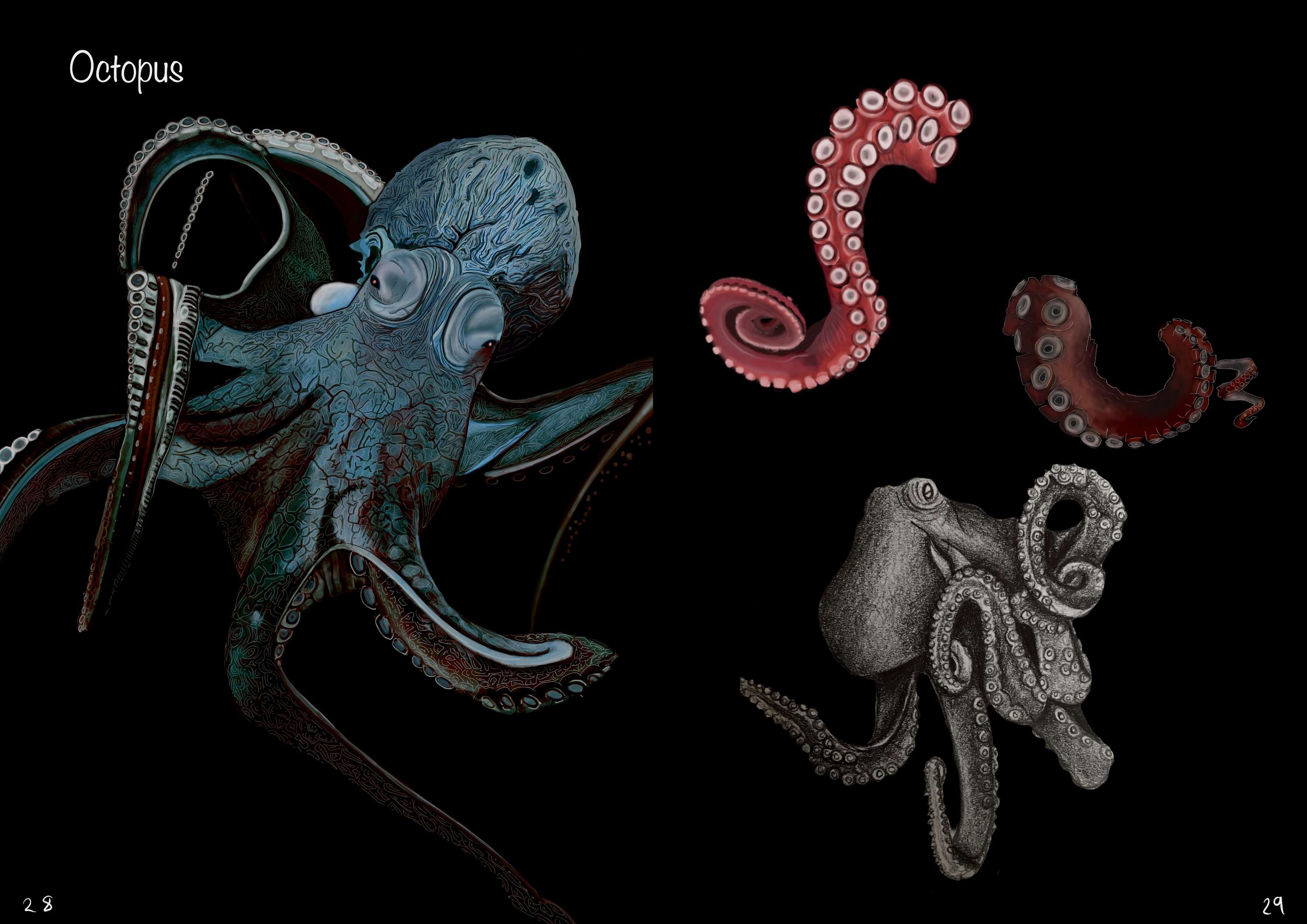 Creature Designs by Evelynne Stamp