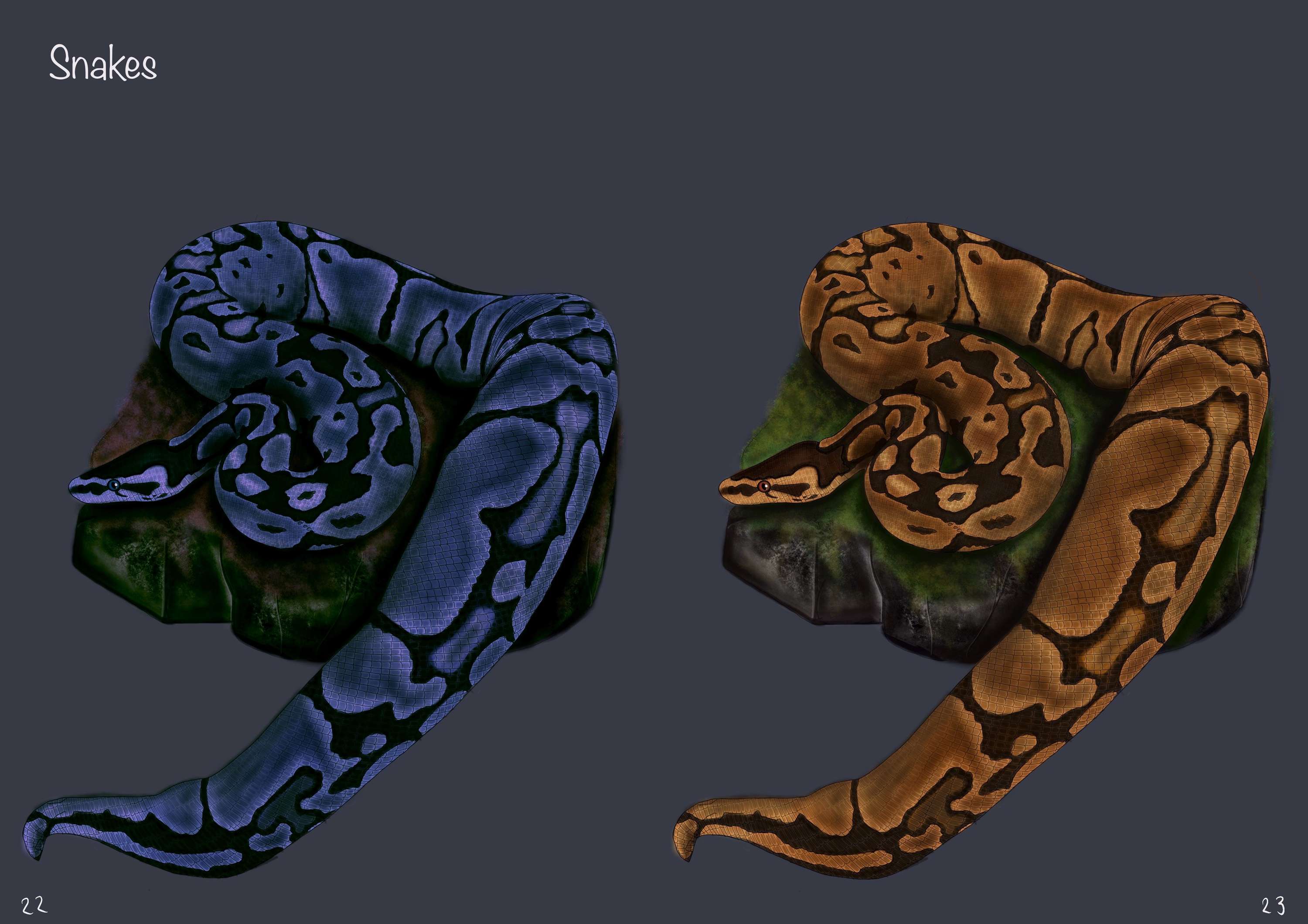 Creature Designs by Evelynne Stamp