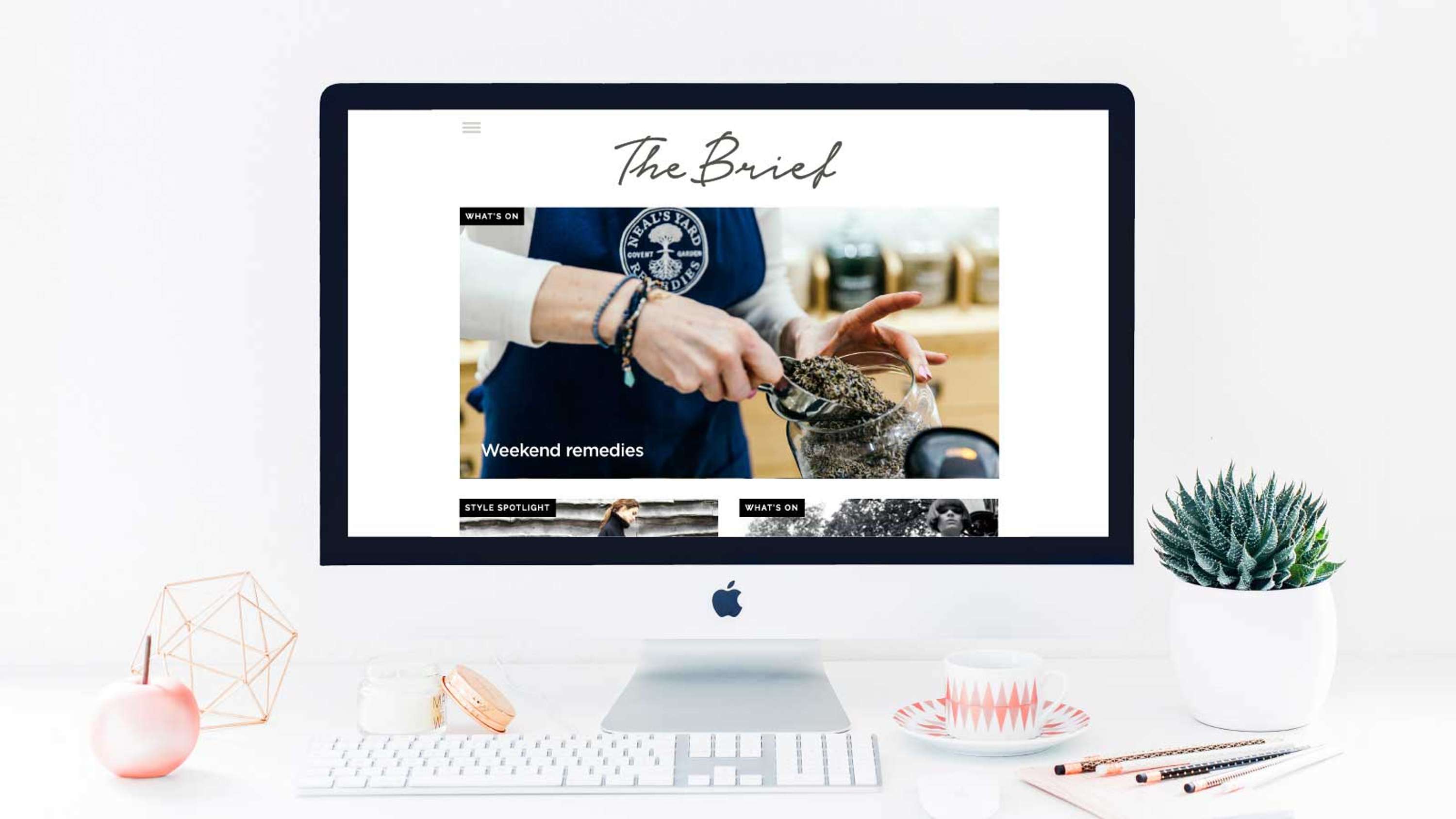 The Brief by Jodi Fox