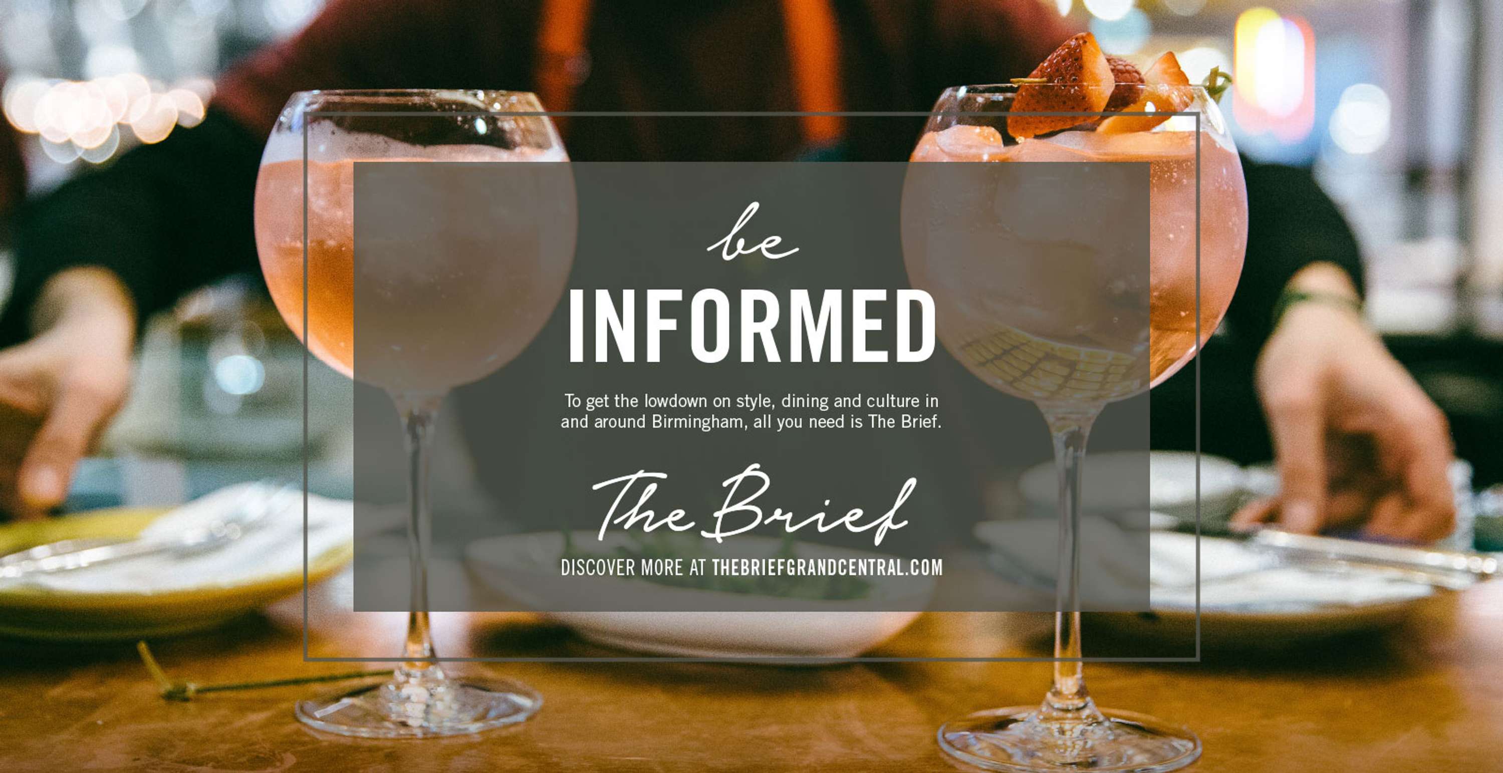 The Brief by Jodi Fox