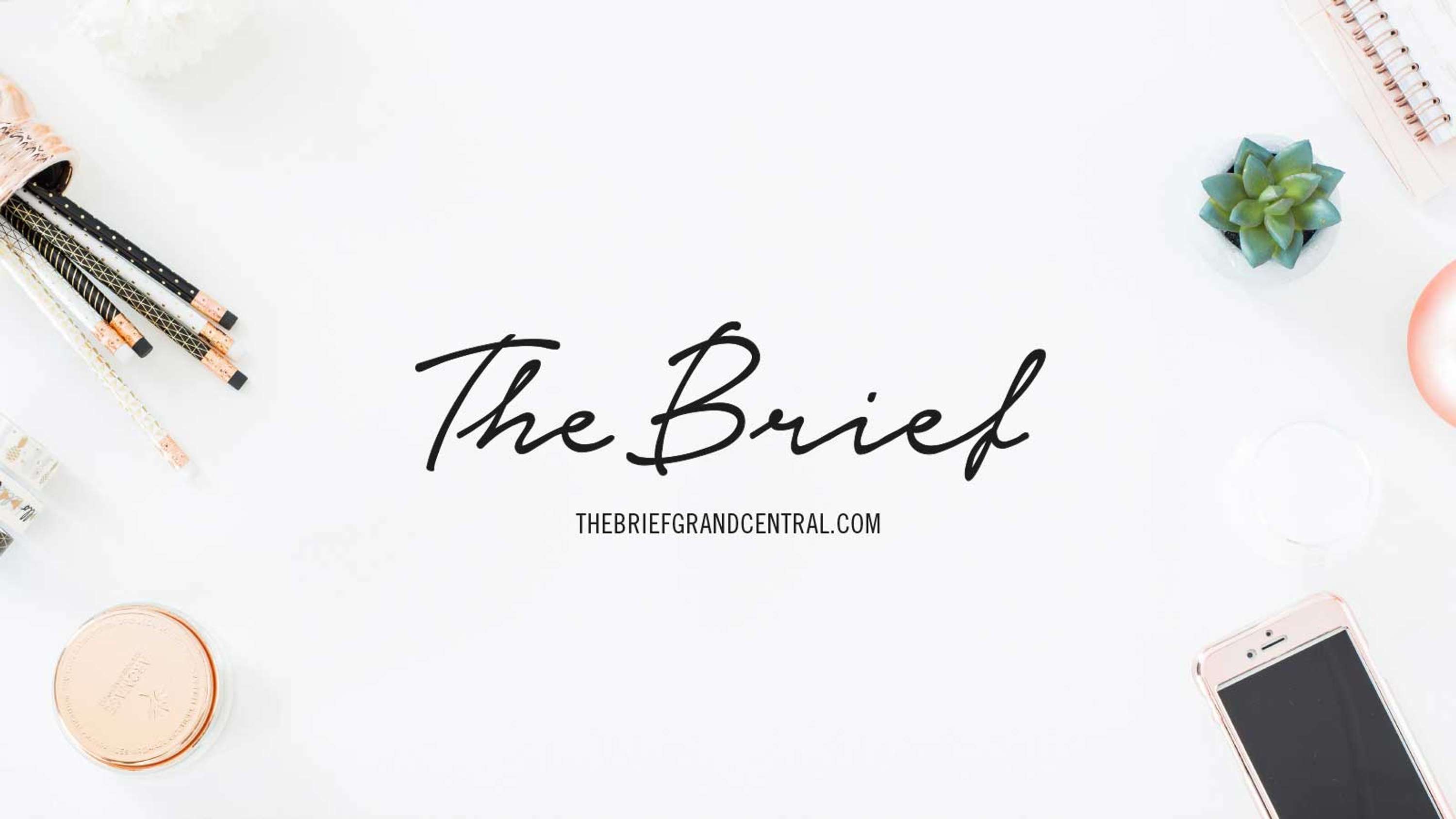 The Brief by Jodi Fox