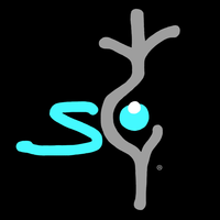 Seyenapse logo