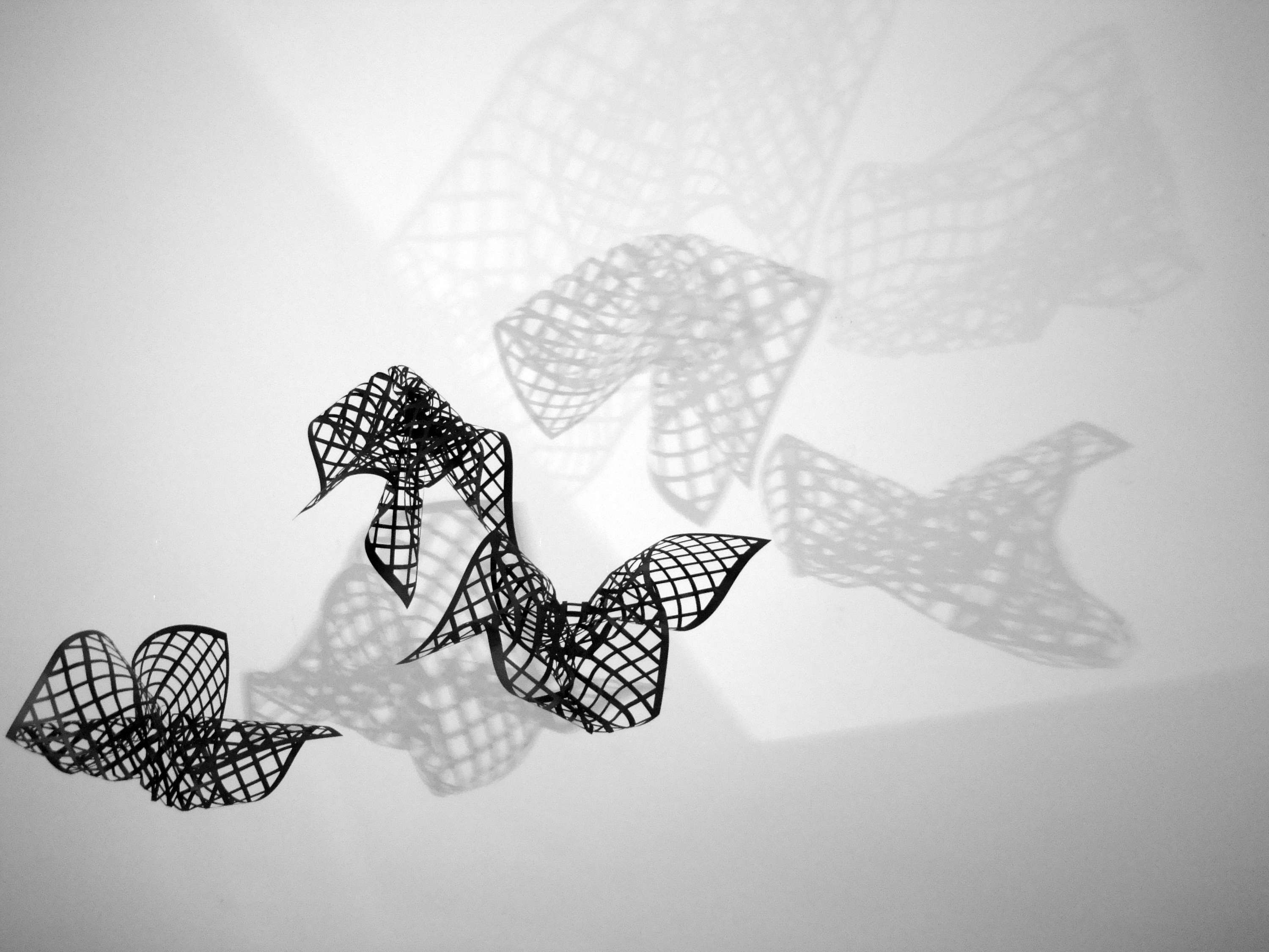 Connections by Mariana Fabris