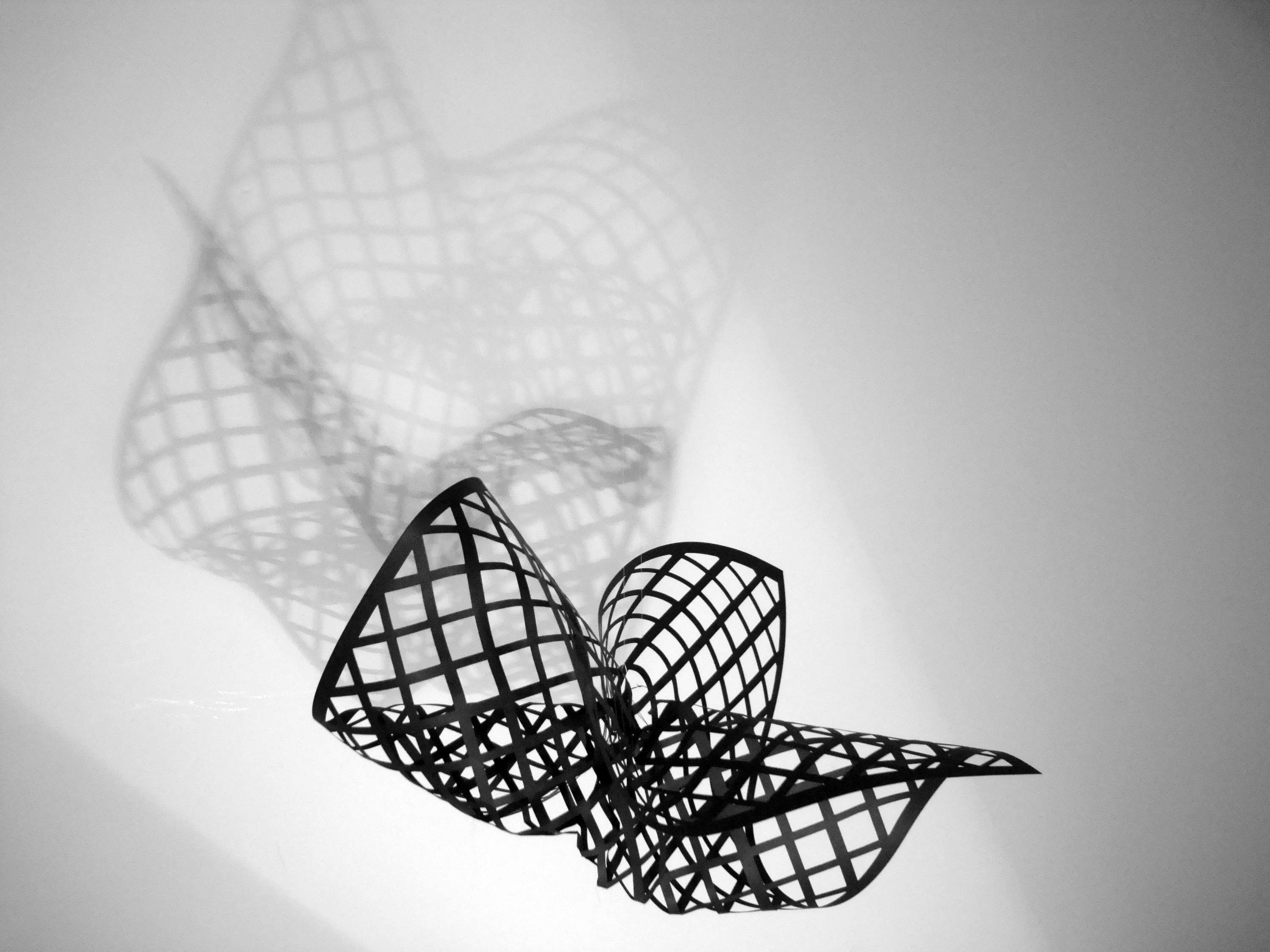 Connections by Mariana Fabris