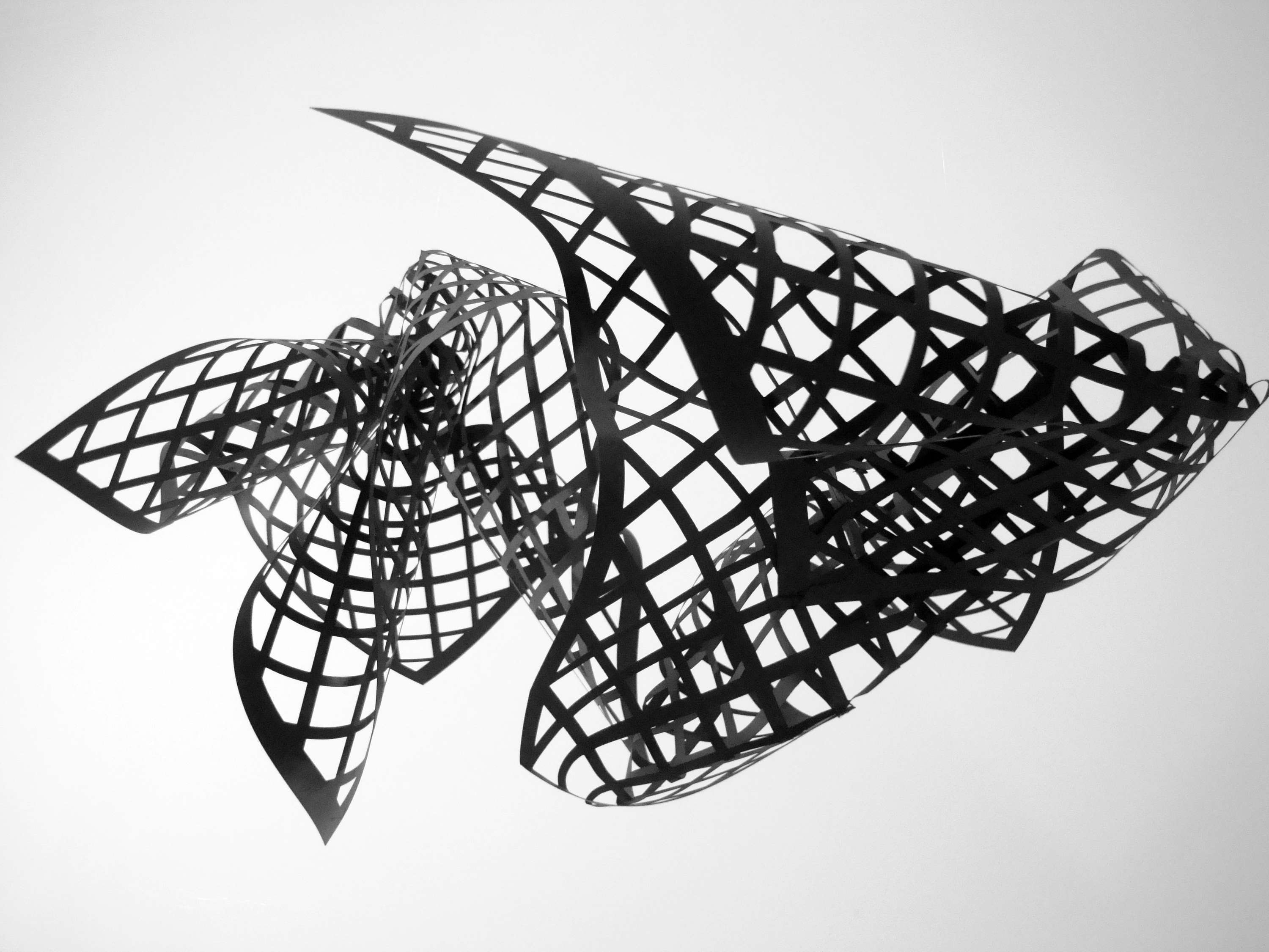 Connections by Mariana Fabris