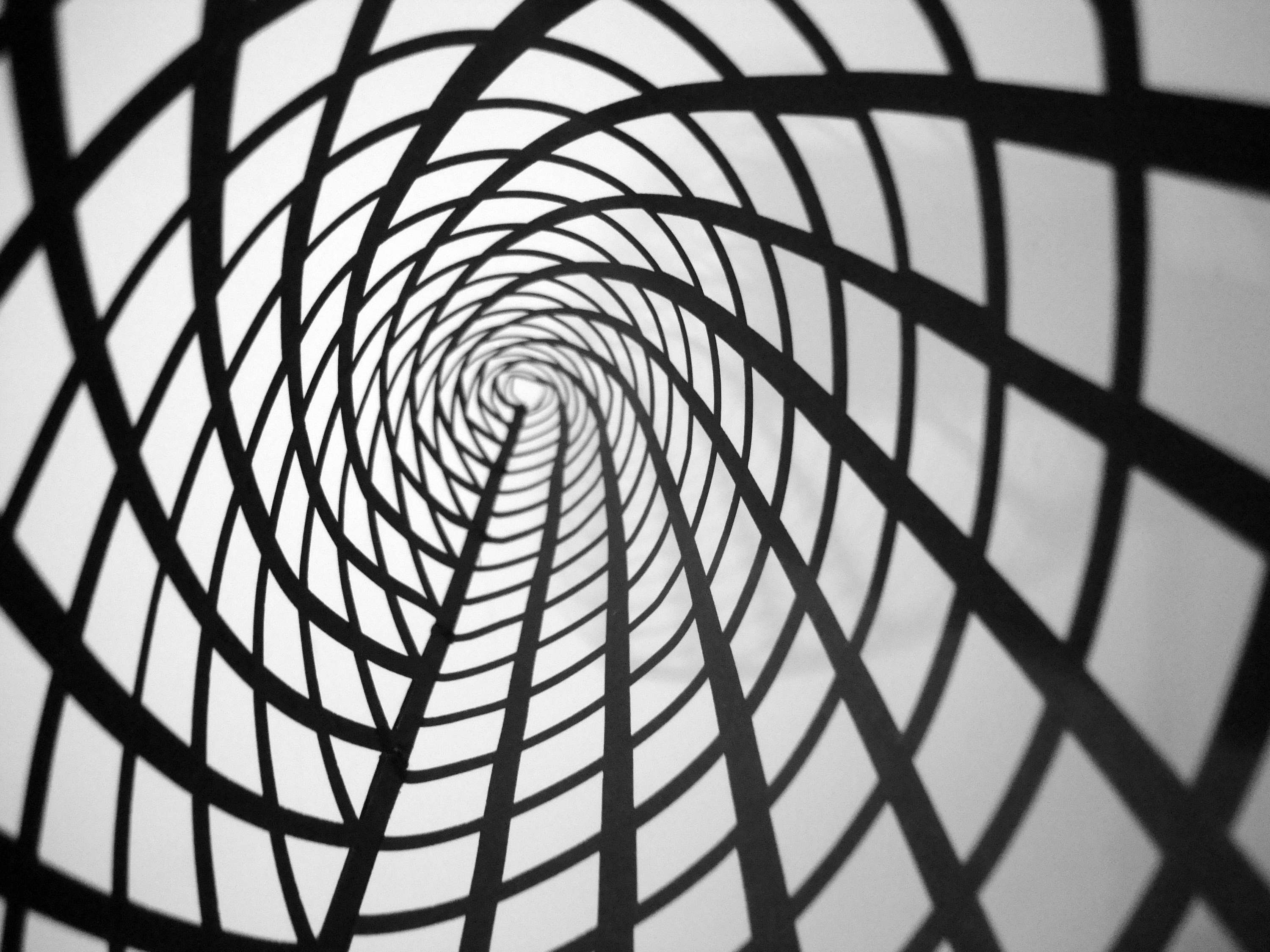 Connections by Mariana Fabris