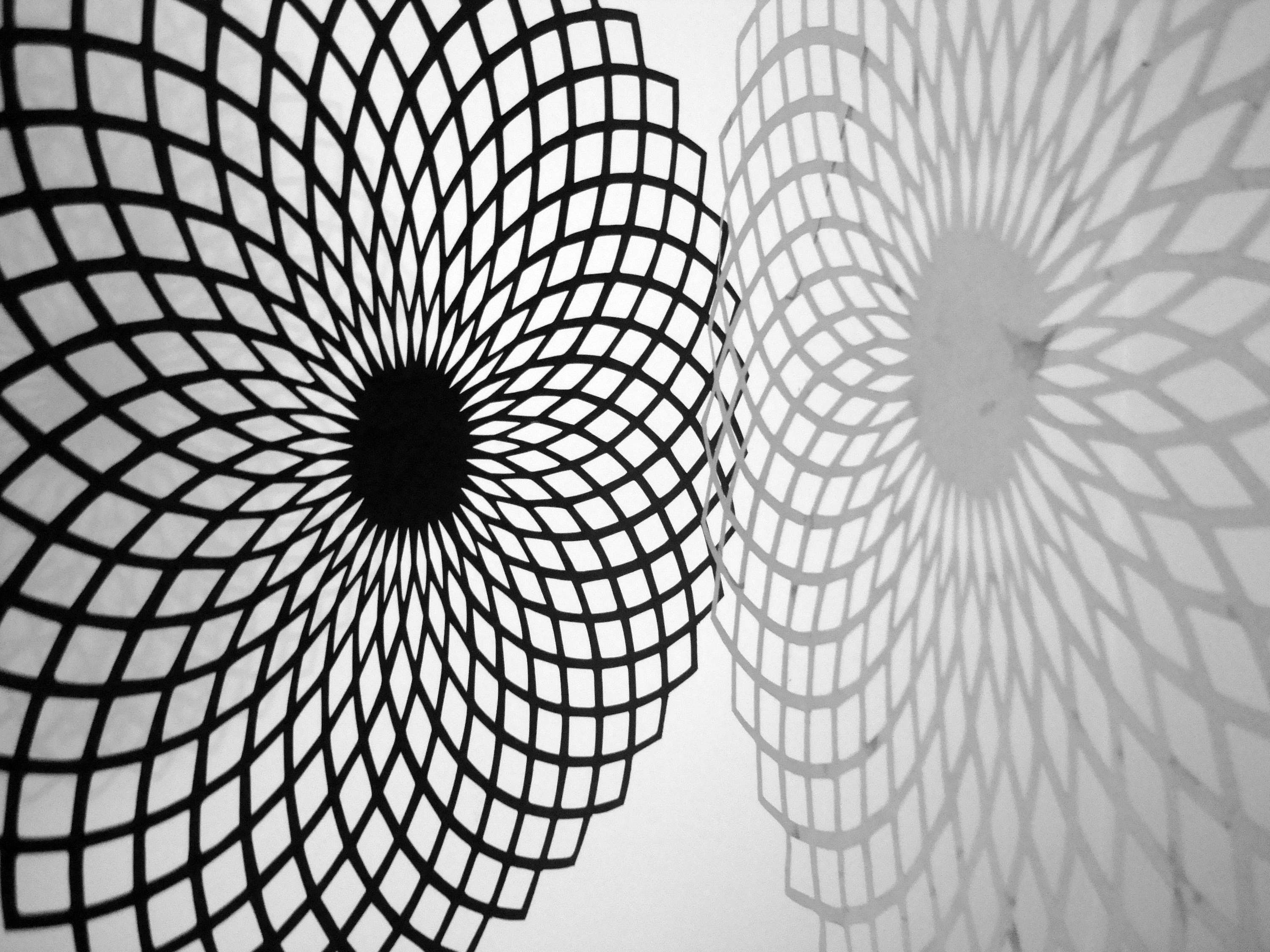 Connections by Mariana Fabris