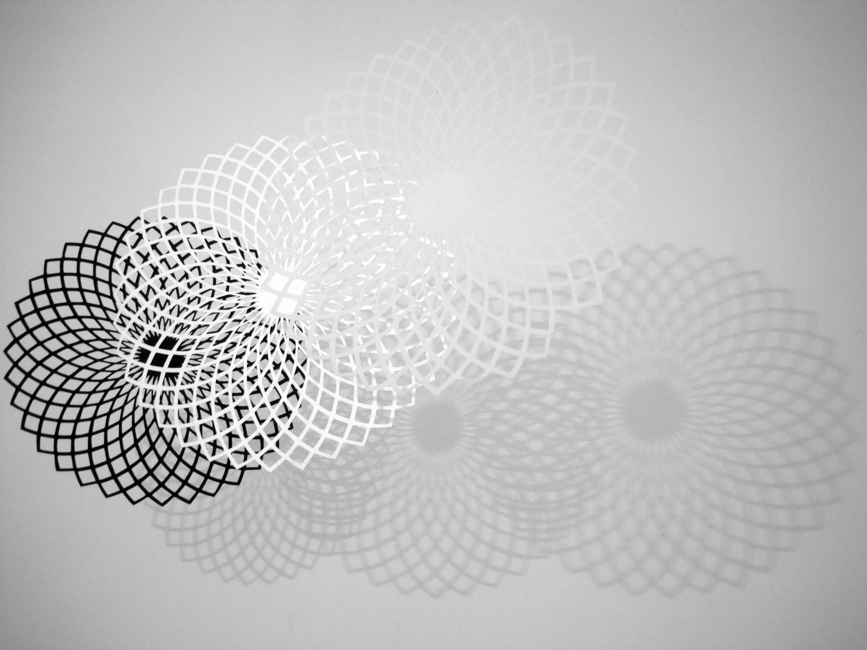 Connections by Mariana Fabris