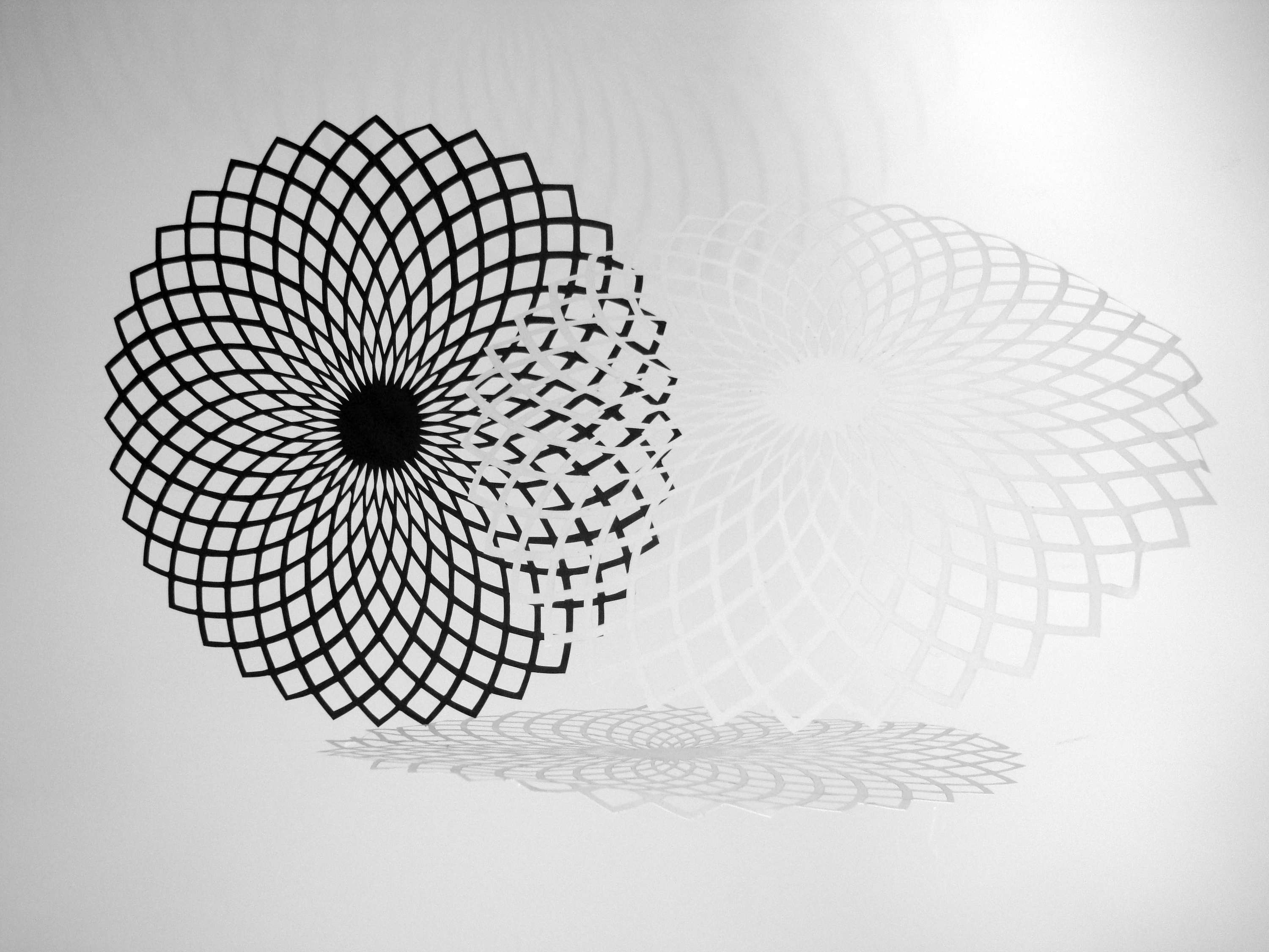 Connections by Mariana Fabris